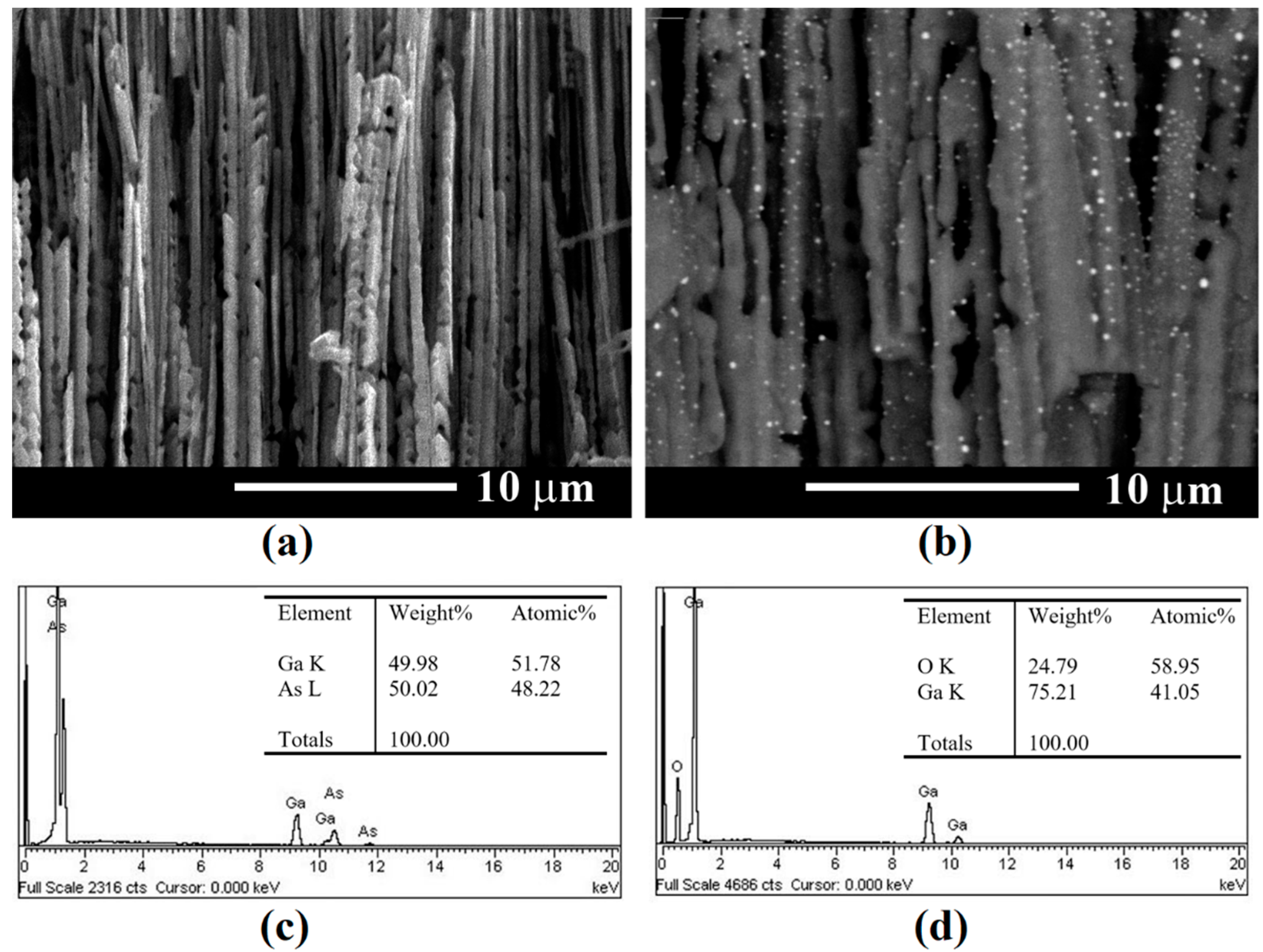 Coatings 12 01521 g006