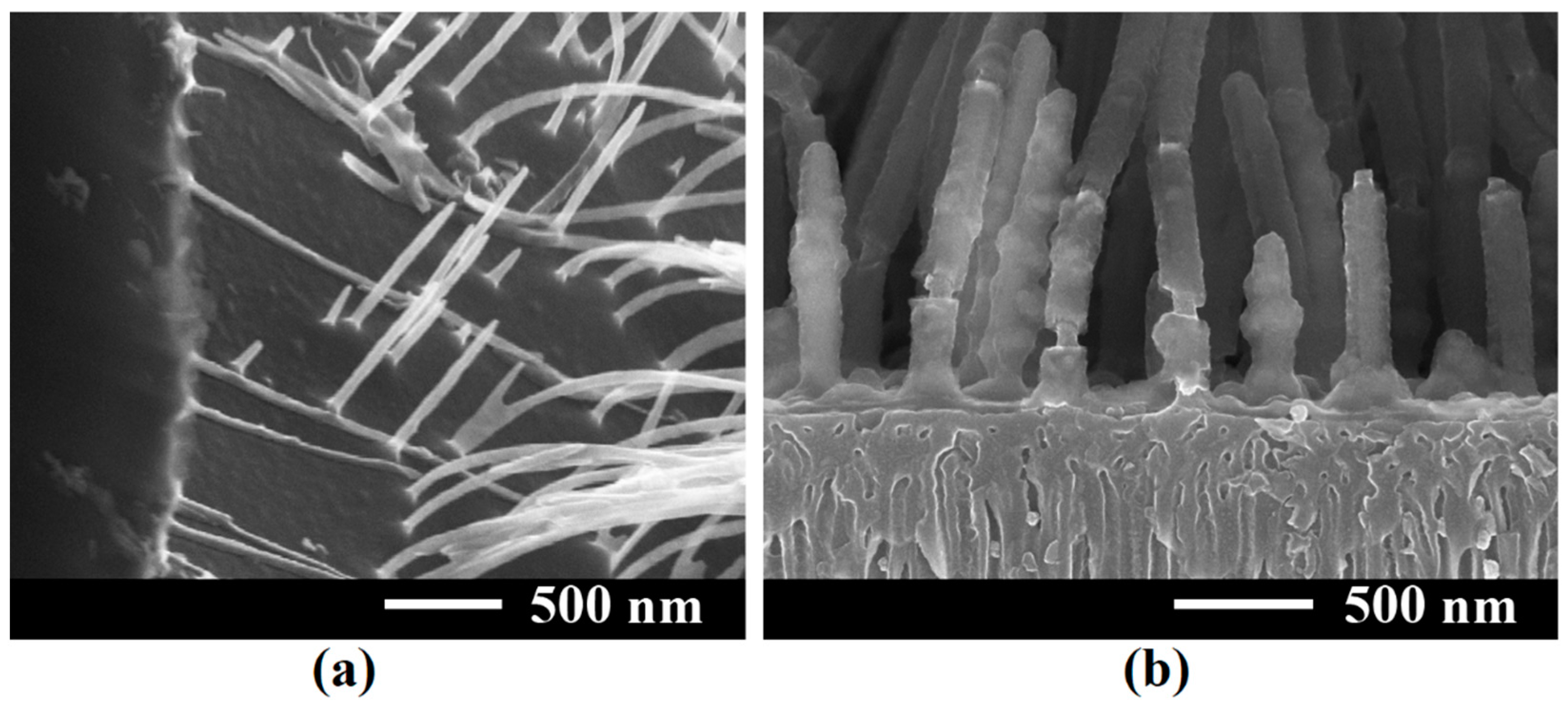 Coatings 12 01521 g007
