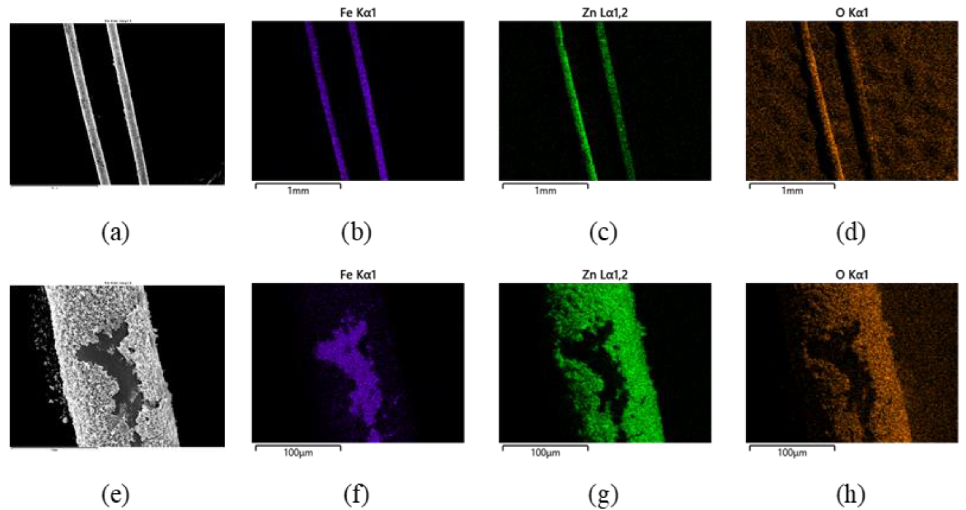 Coatings 12 01527 g009