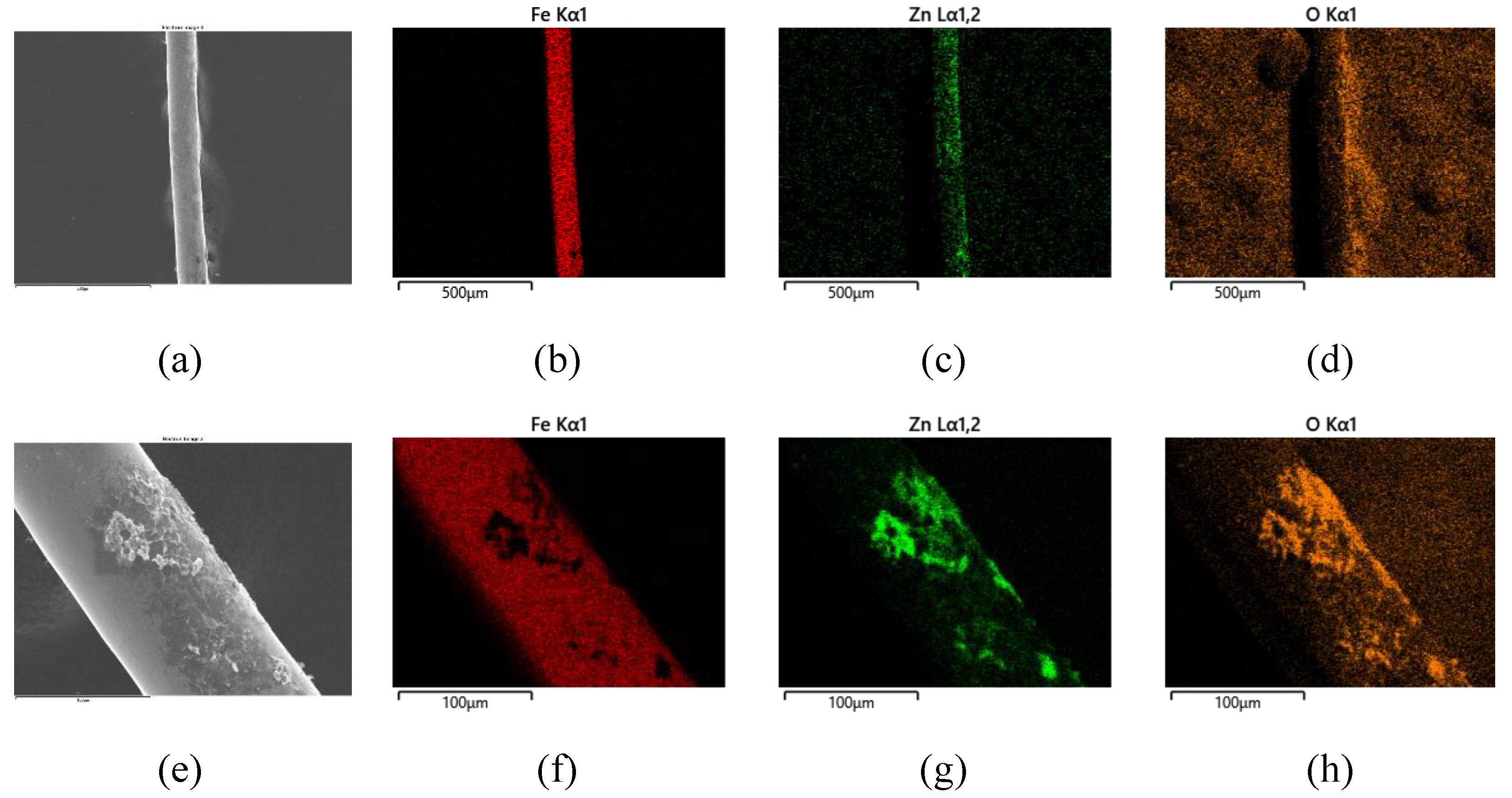Coatings 12 01527 g010