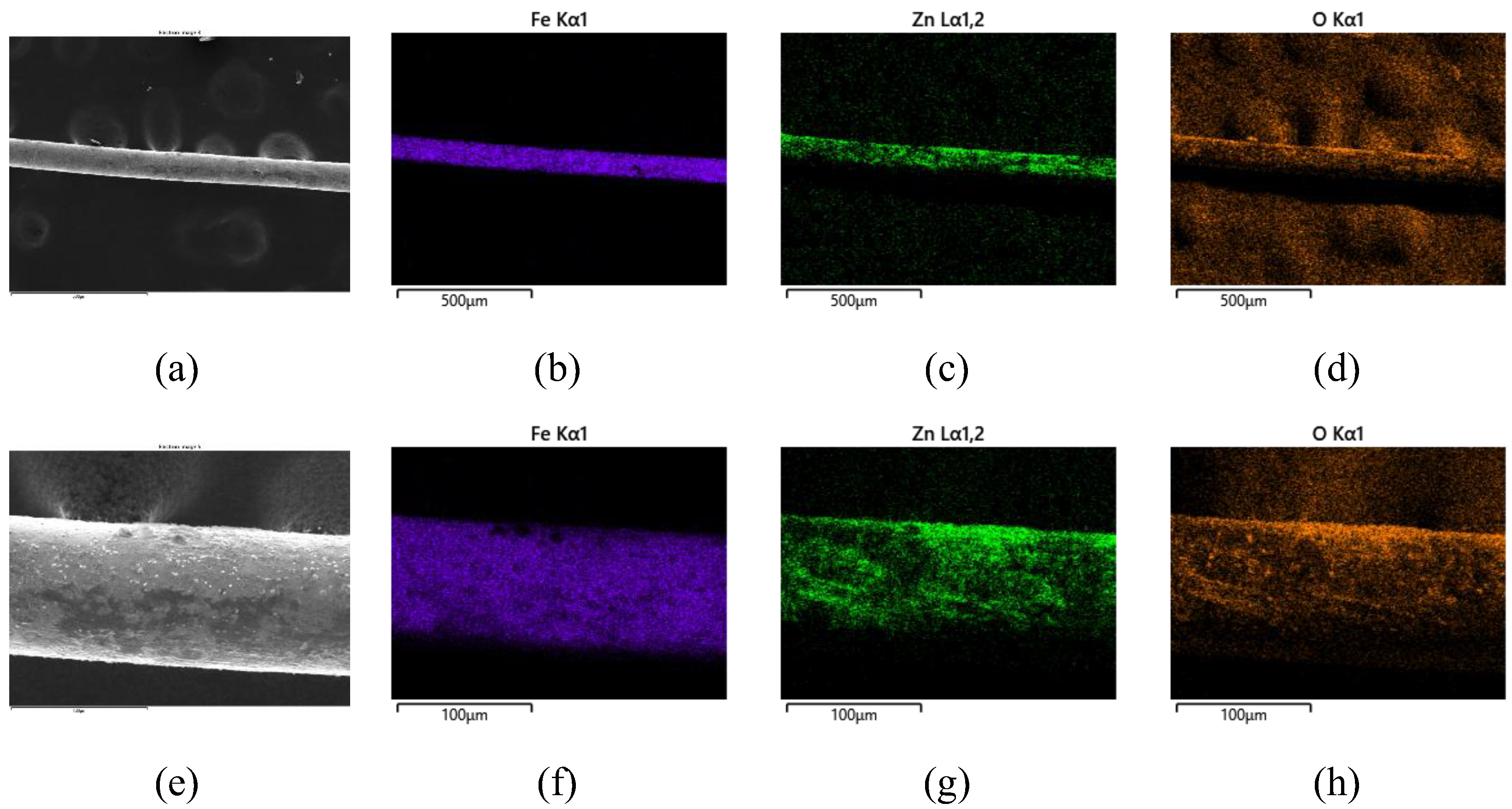 Coatings 12 01527 g011