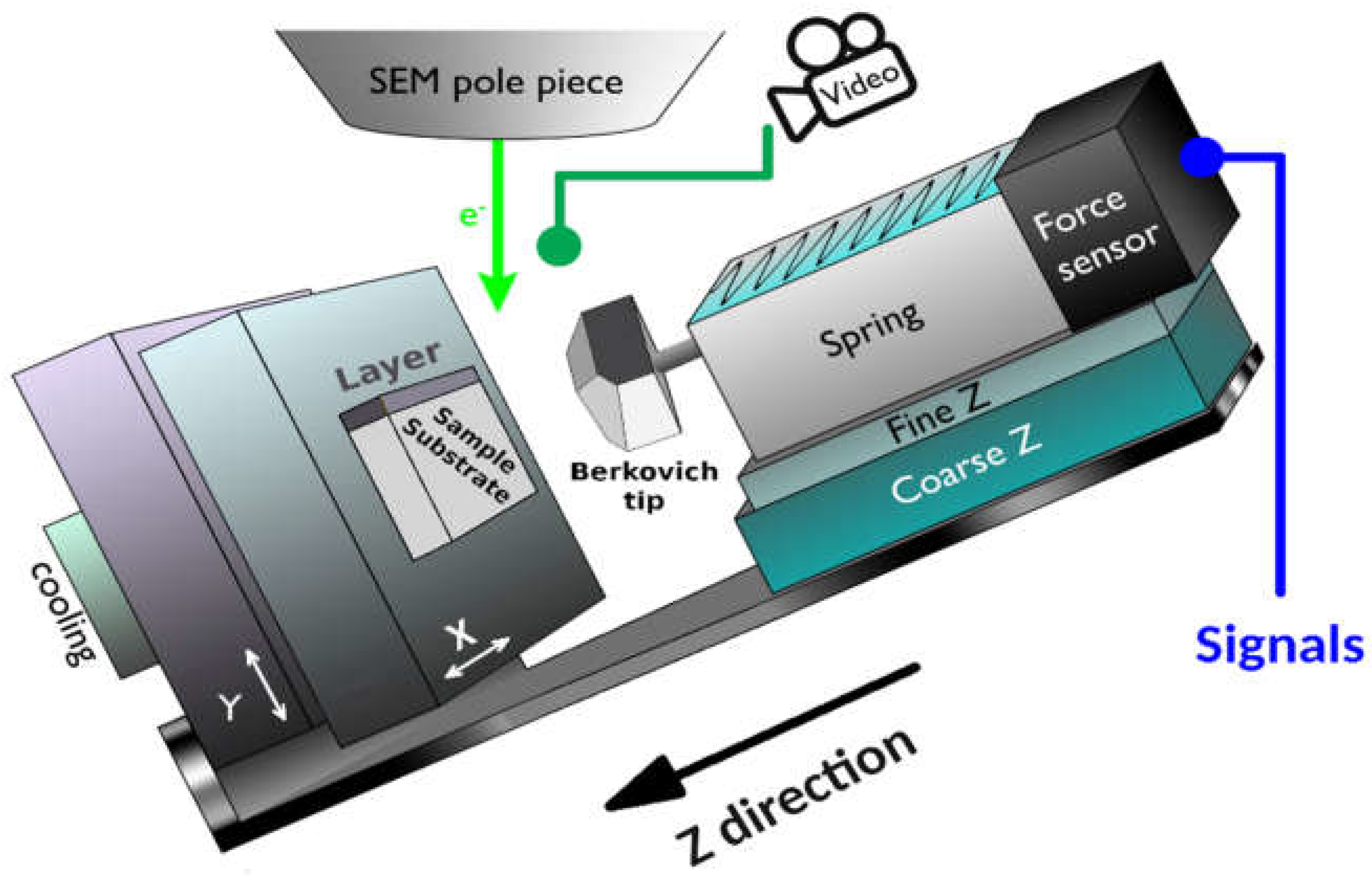 Coatings 12 01528 g003