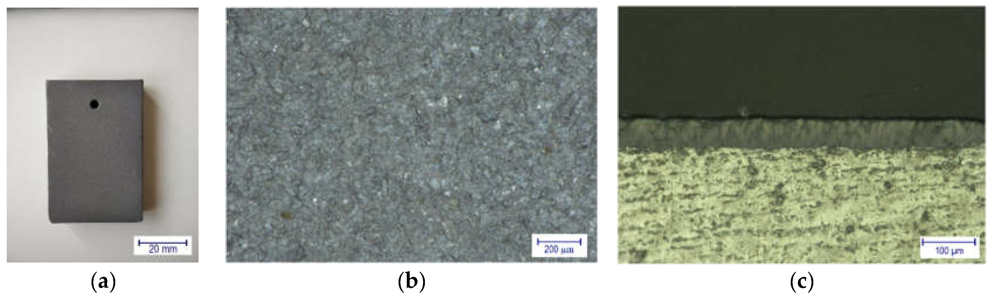 Coatings 12 01528 g004