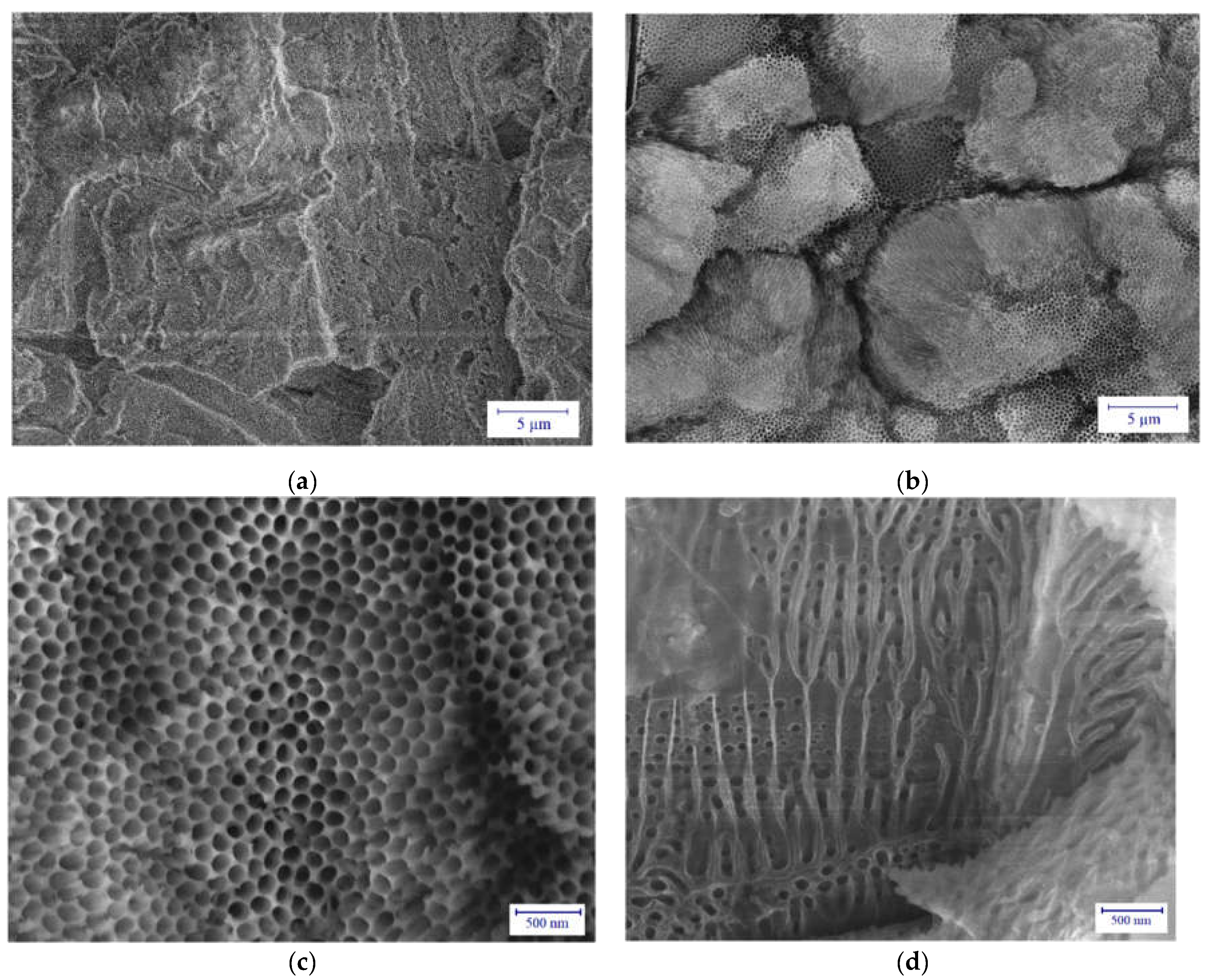 Coatings 12 01528 g005