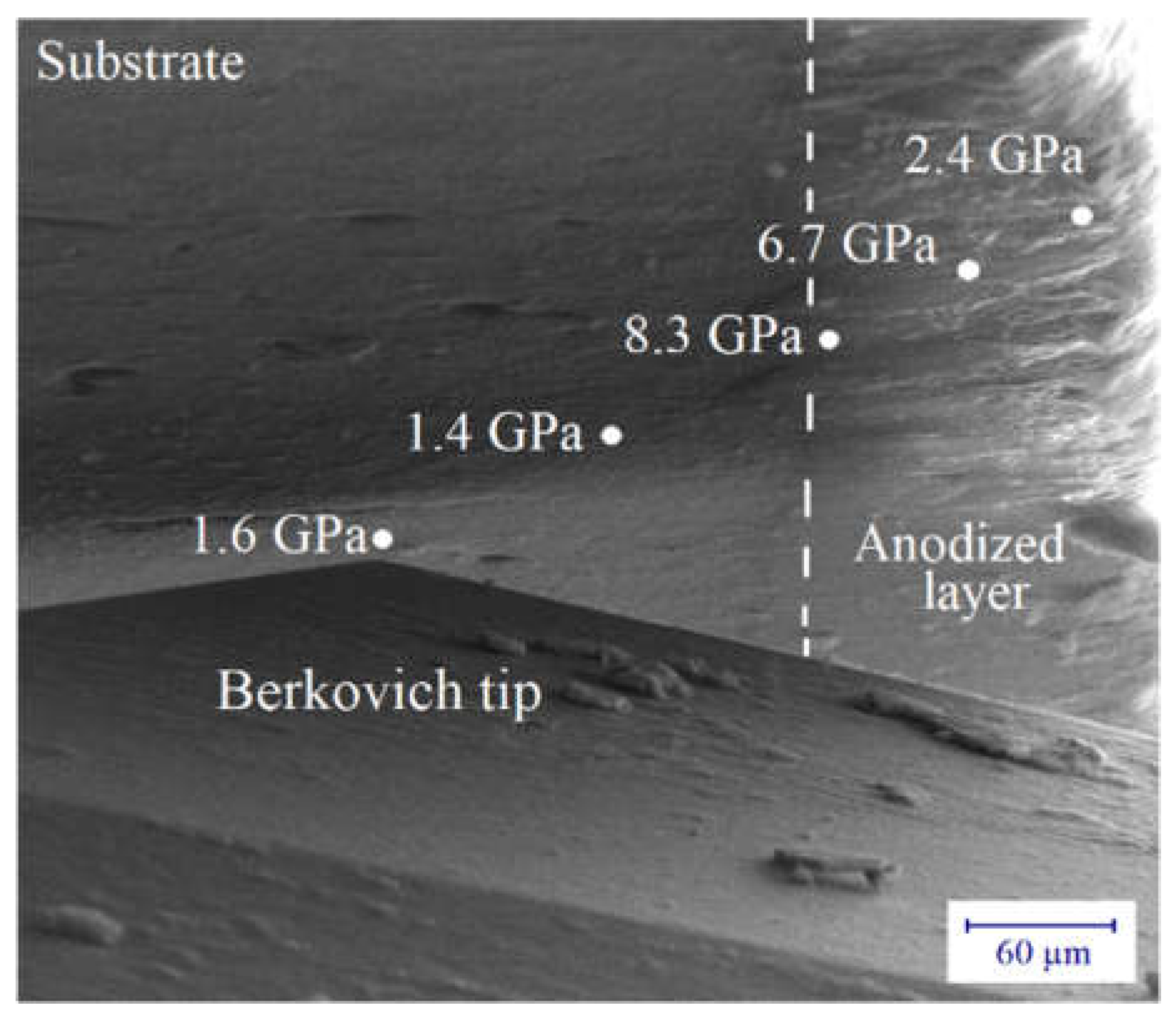 Coatings 12 01528 g010
