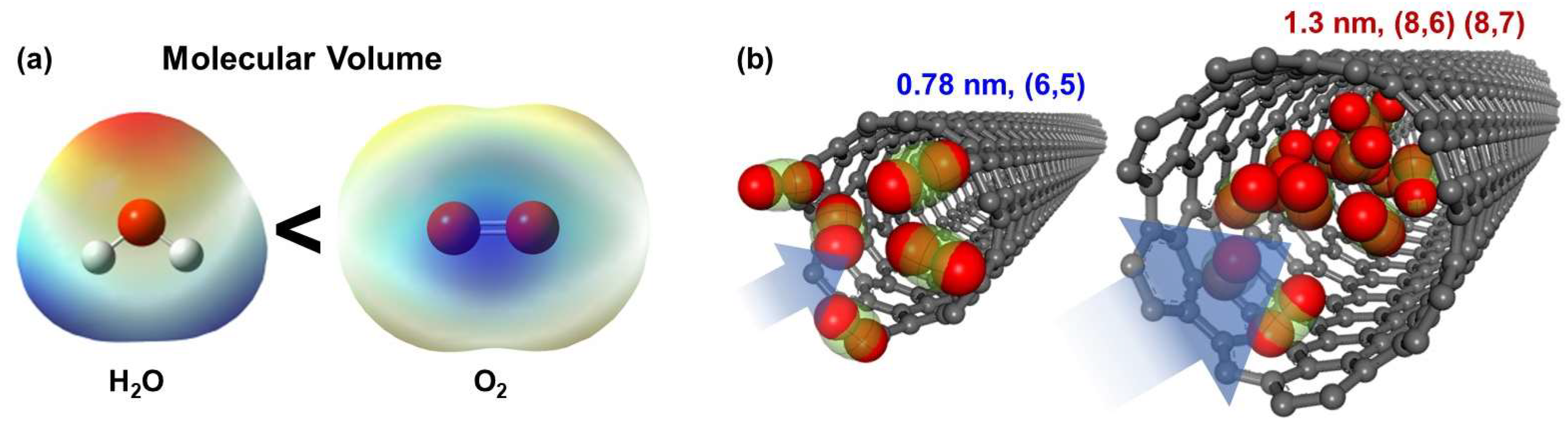 Coatings 12 01550 g007