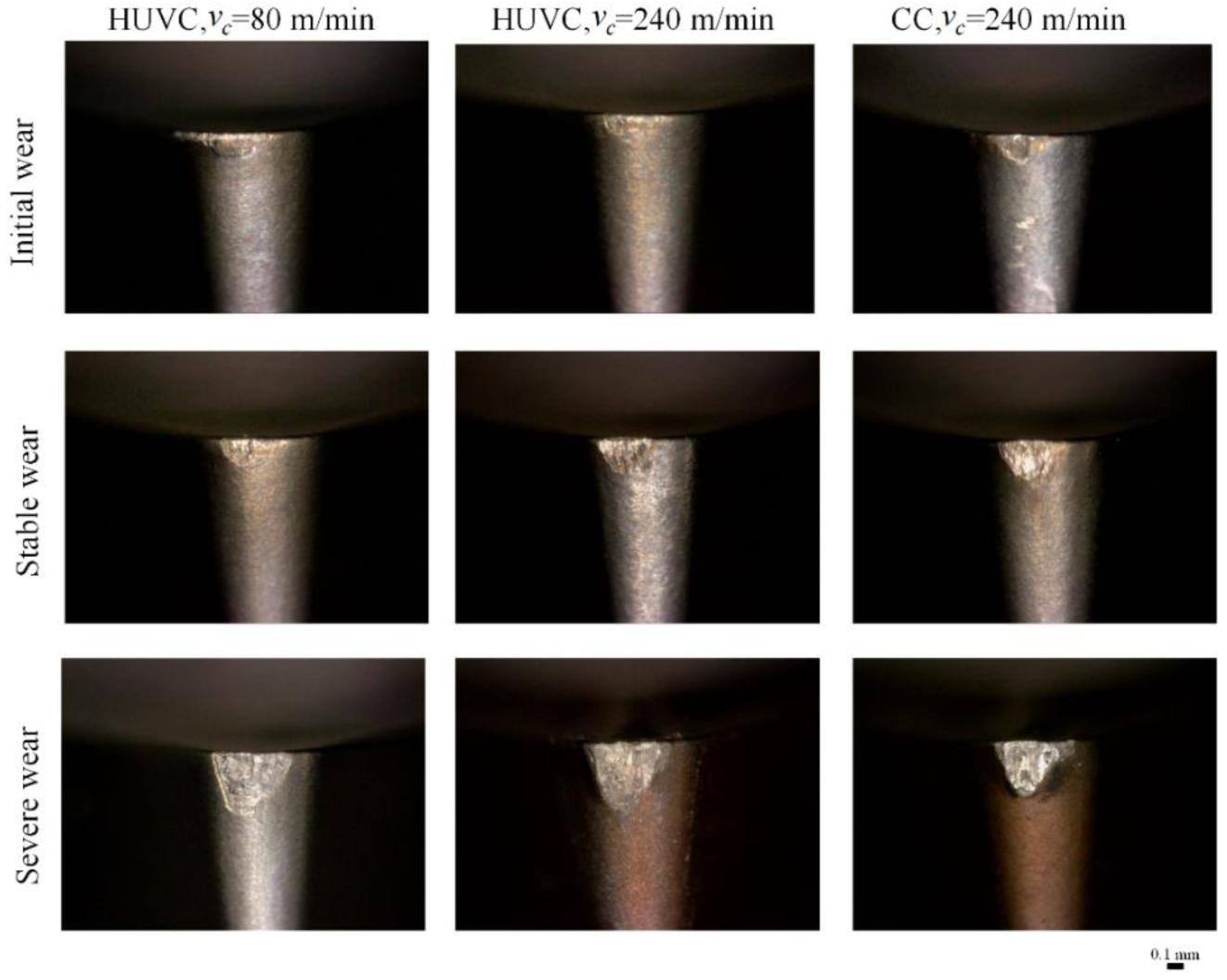 Coatings 12 01553 g012