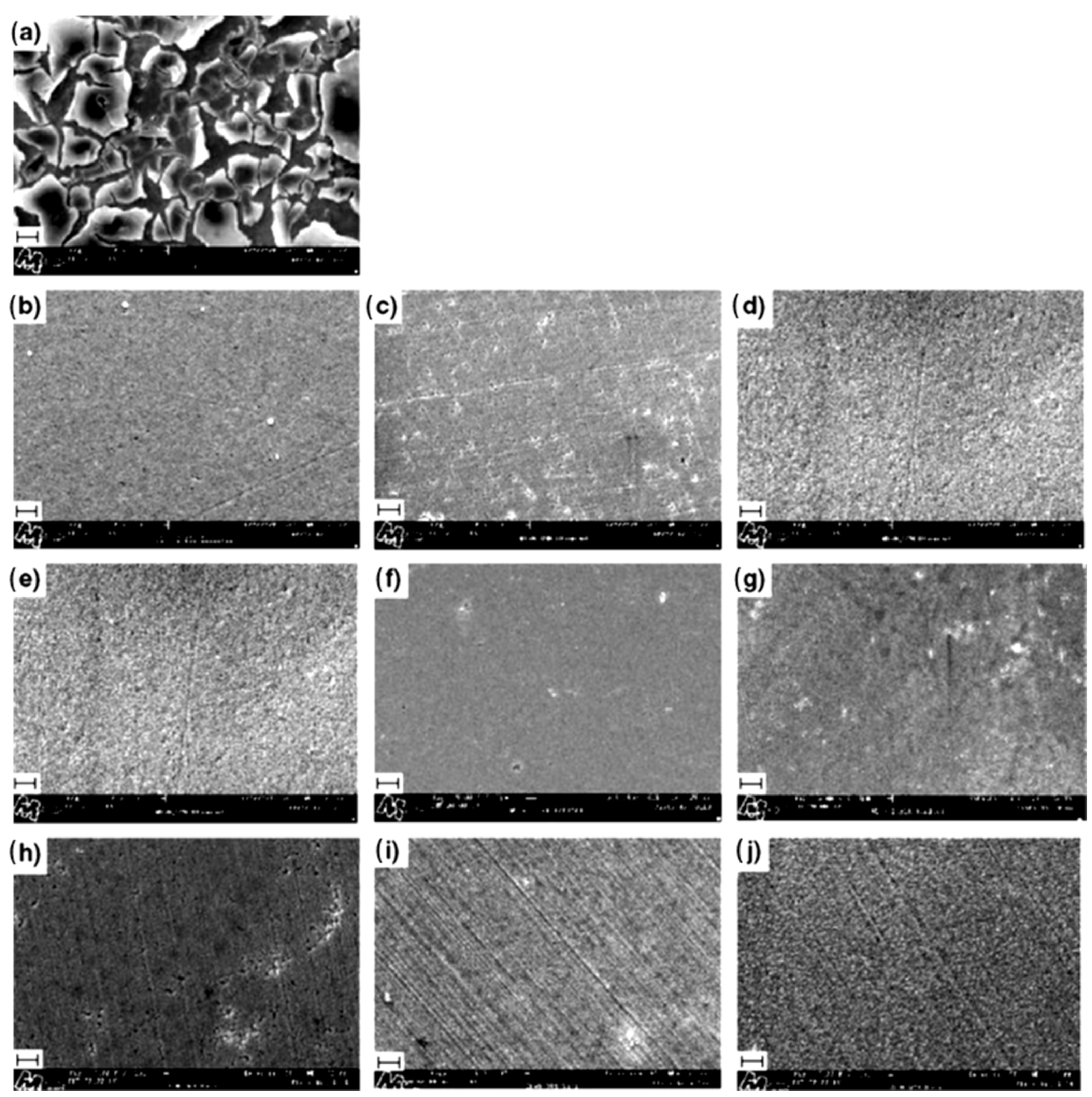 Coatings 12 01555 g009