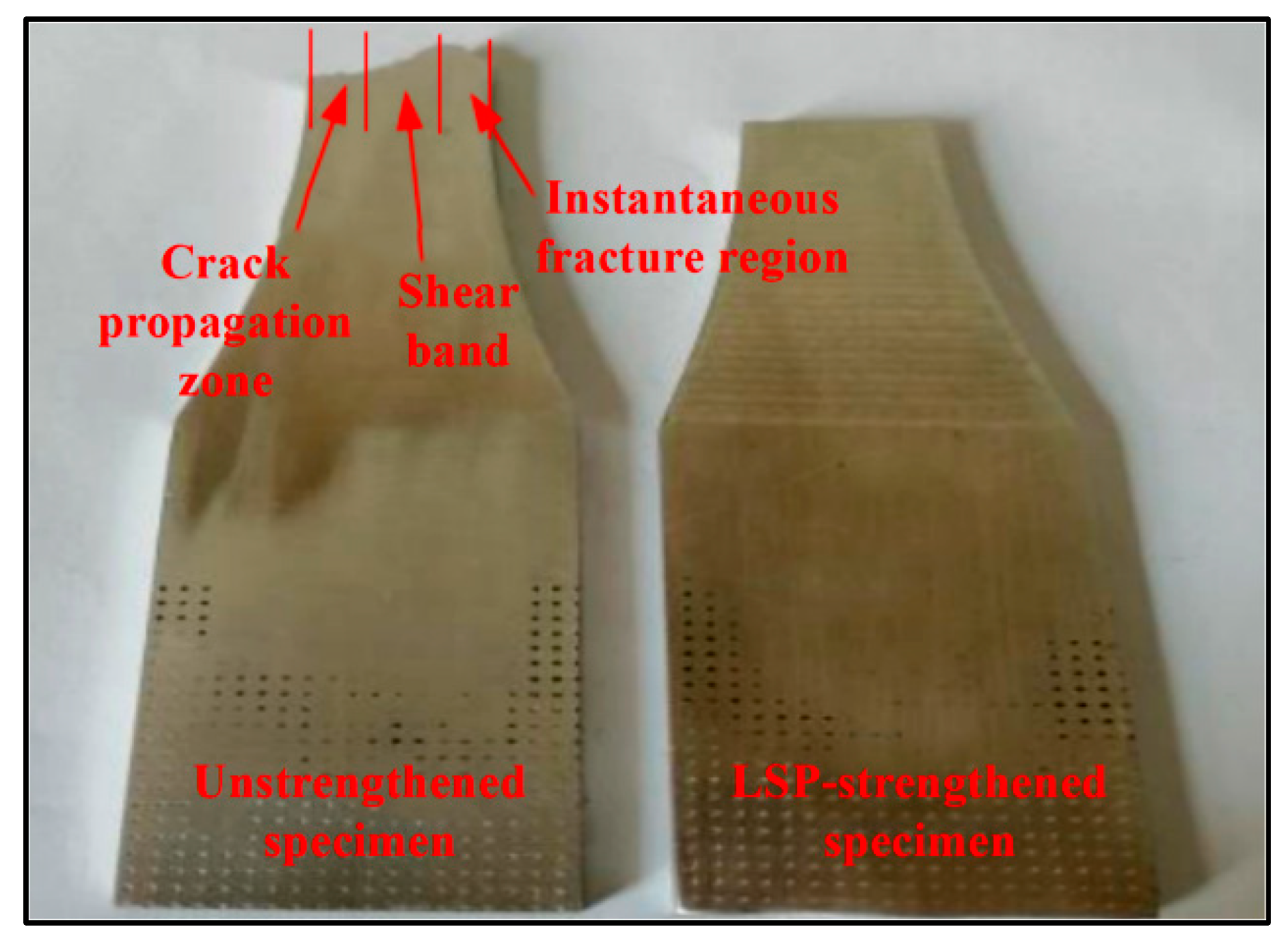 Coatings 12 01556 g008