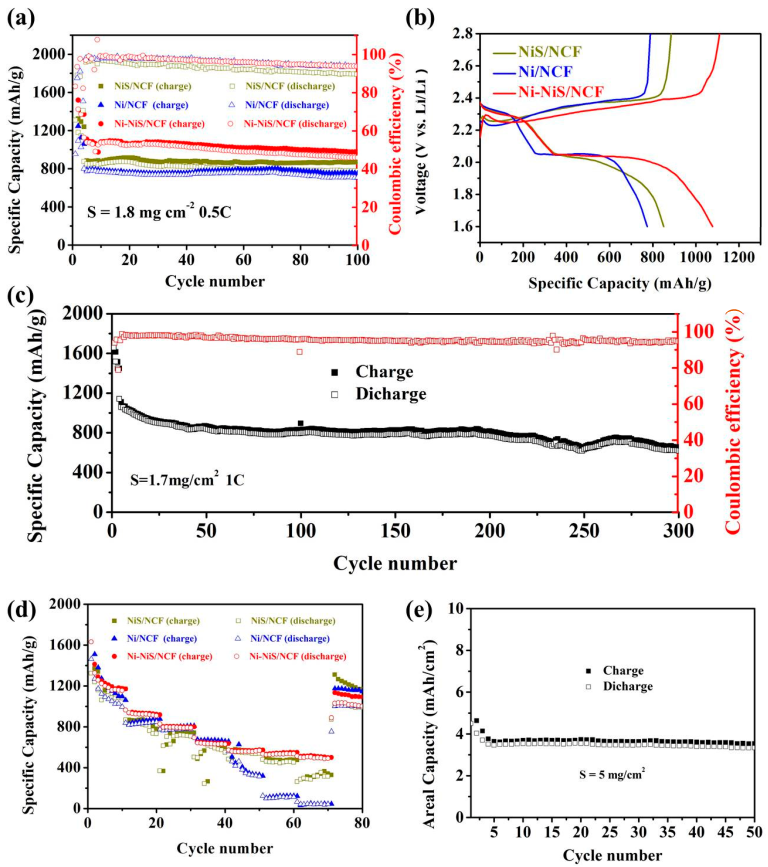 Coatings 12 01557 g006