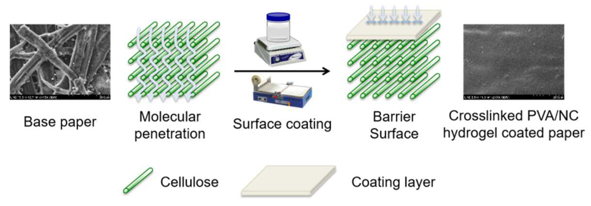 Coatings 12 01562 g001