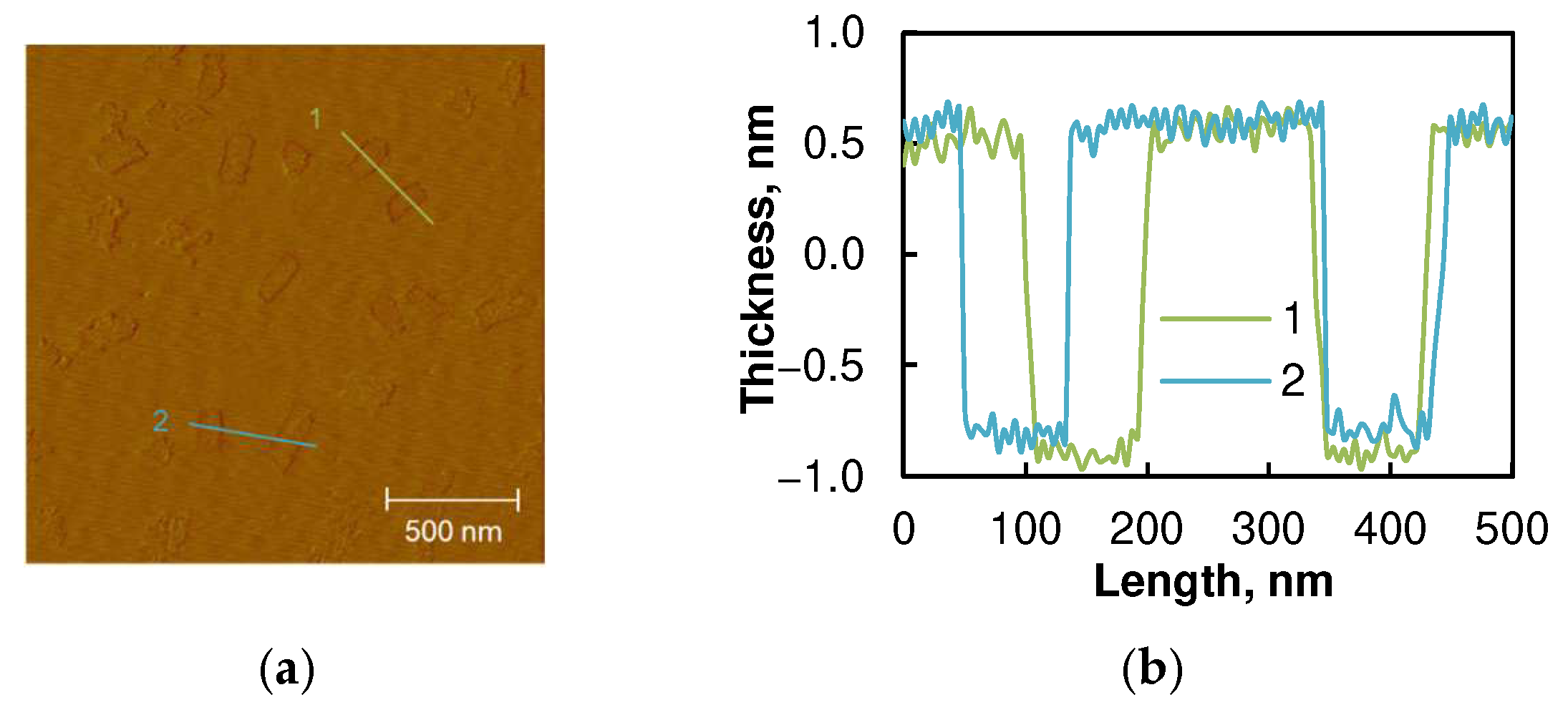 Coatings 12 01562 g003