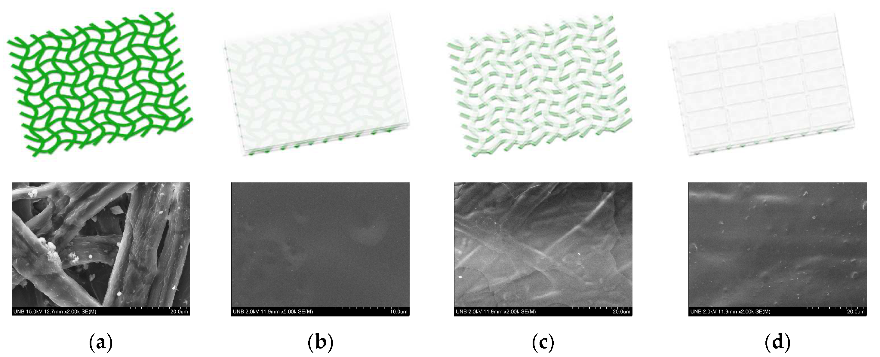 Coatings 12 01562 g005