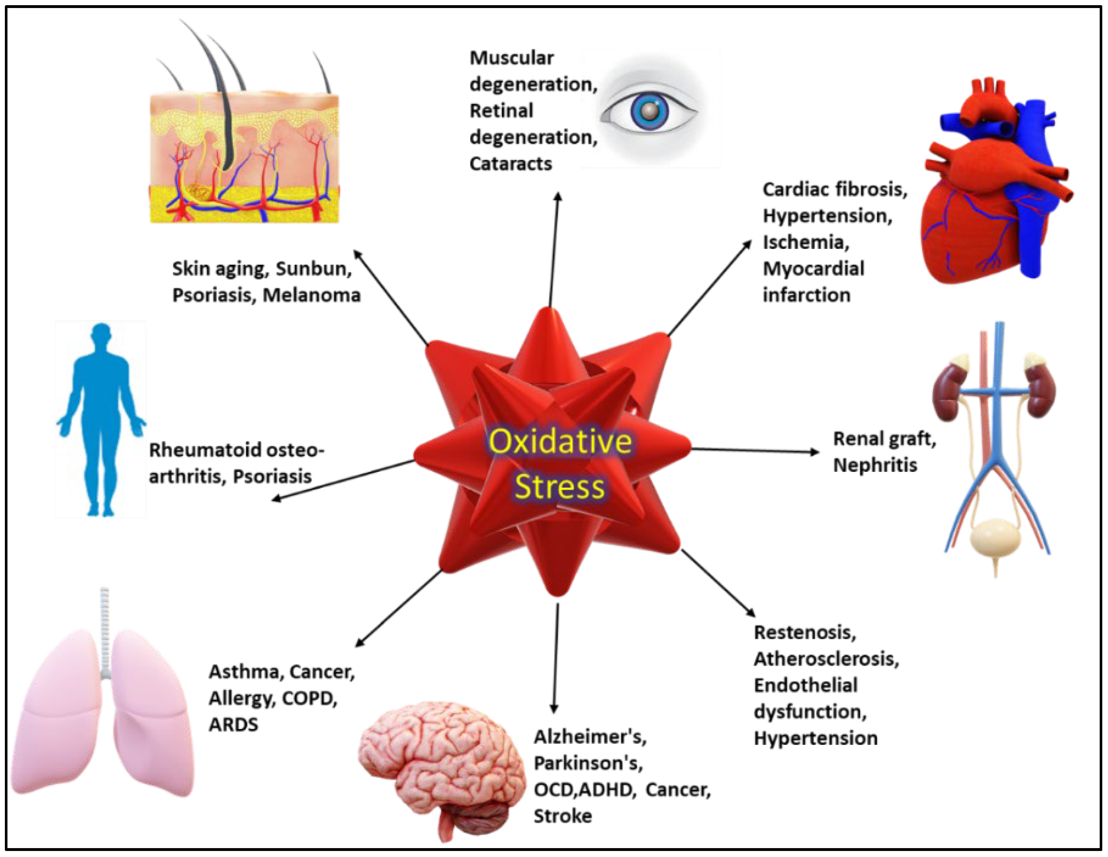 Coatings 12 01568 g001