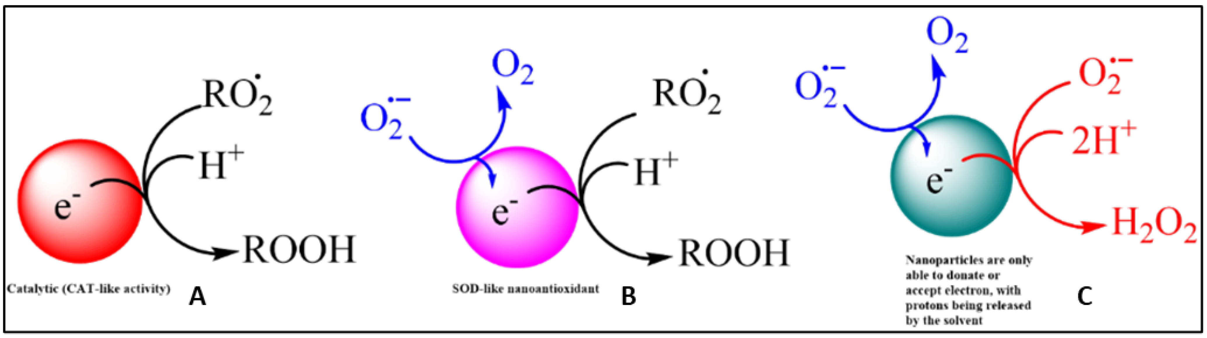 Coatings 12 01568 g005