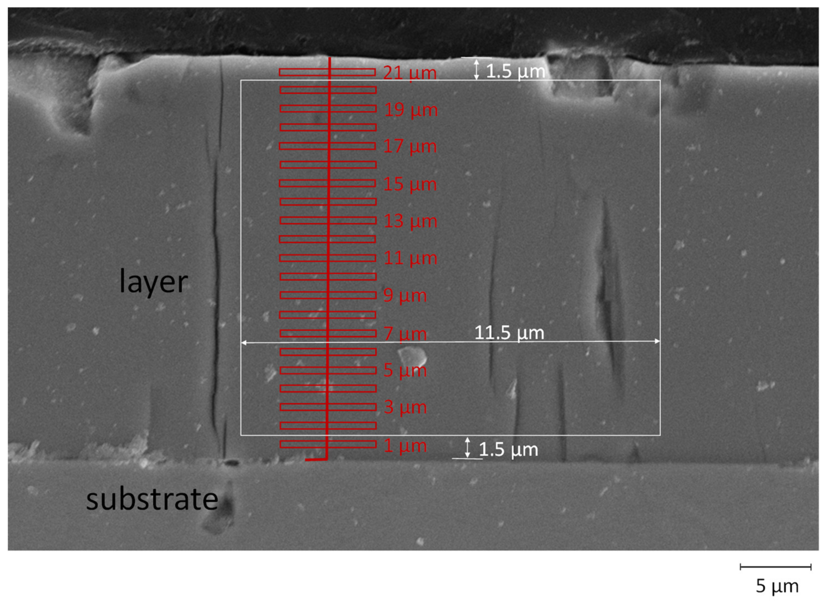 Coatings 12 01569 g002