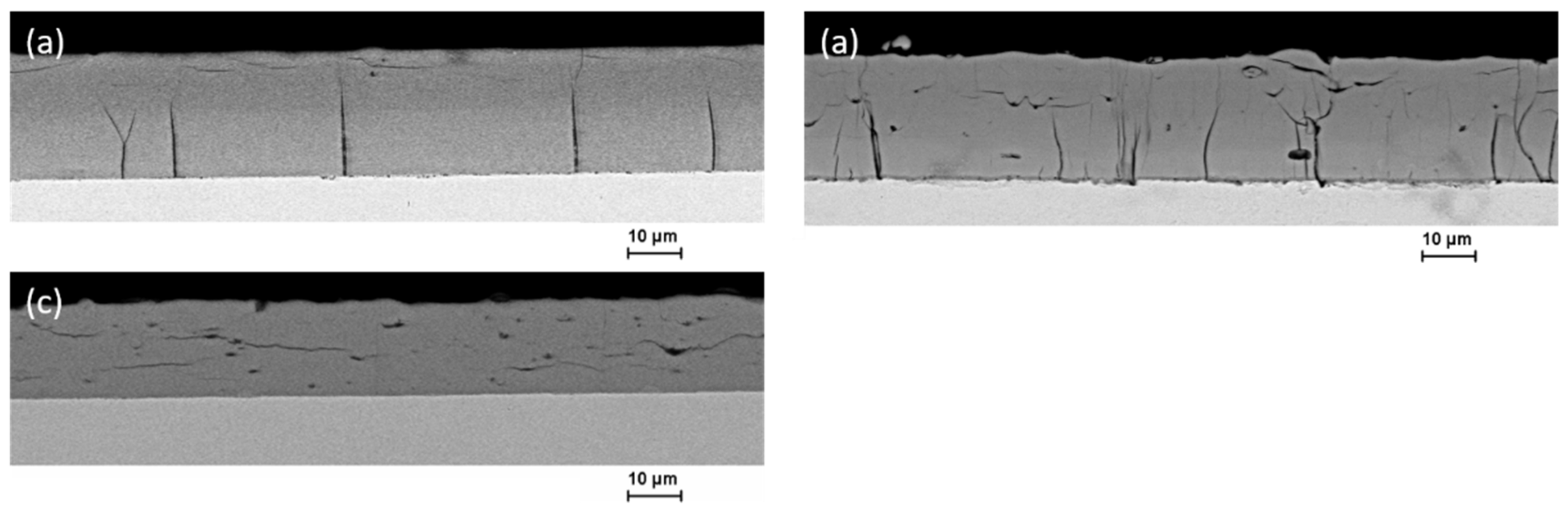 Coatings 12 01569 g009