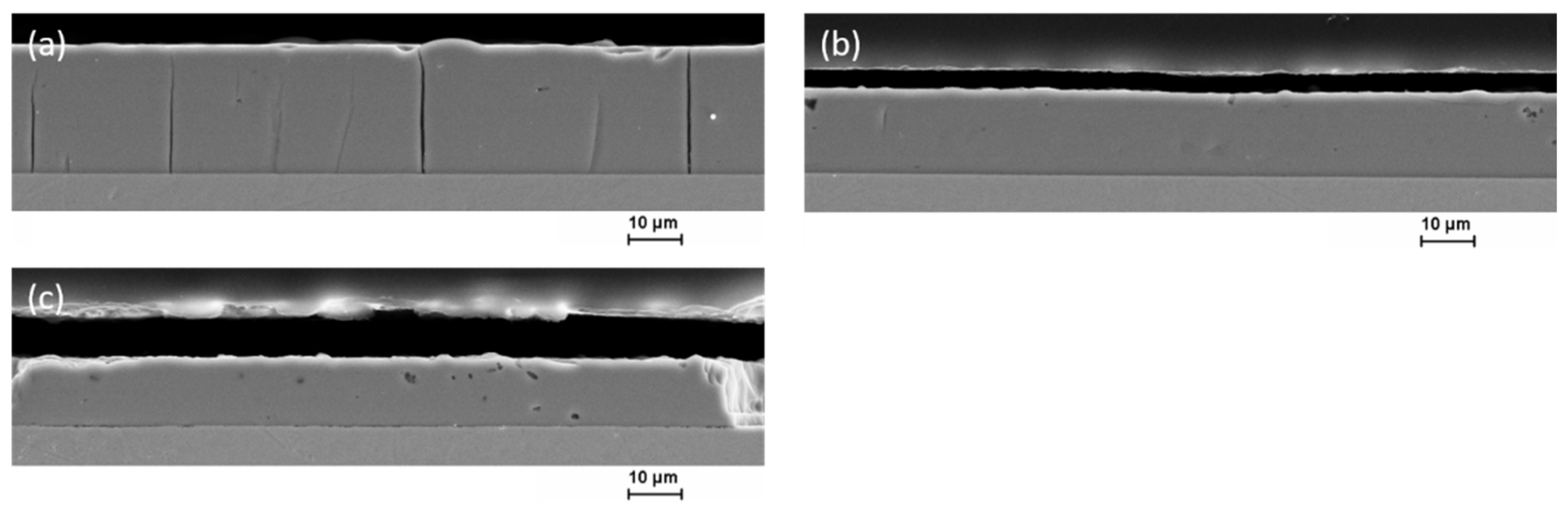 Coatings 12 01569 g013