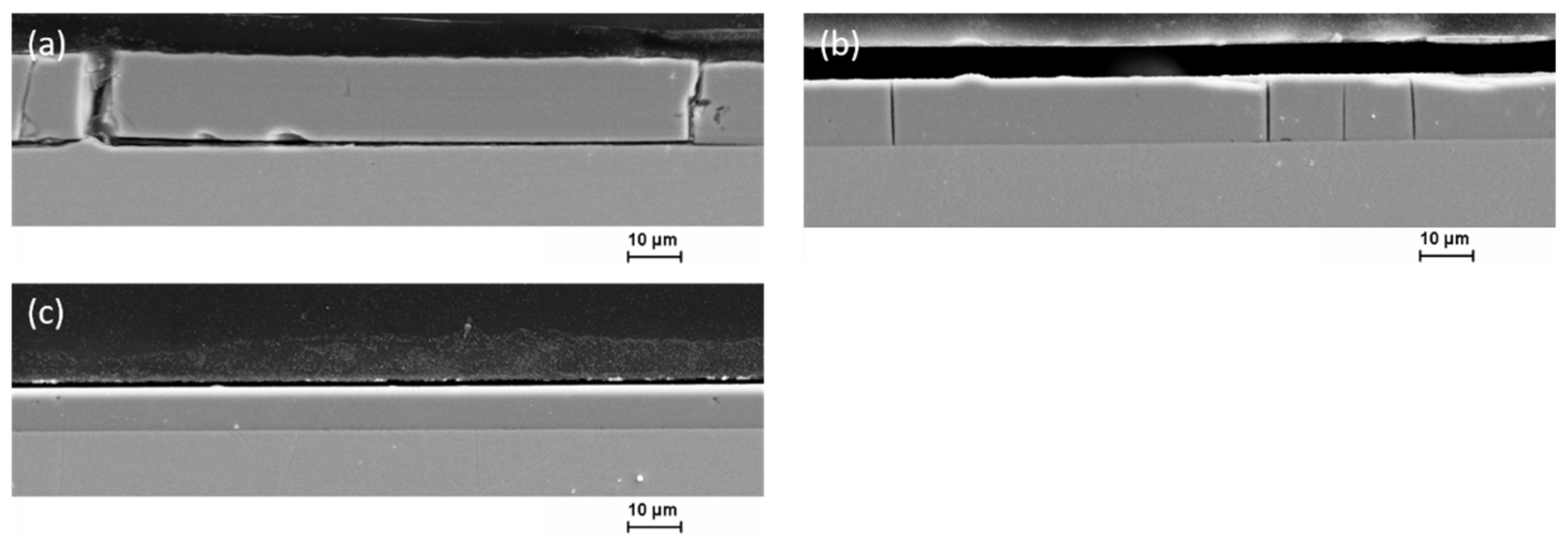 Coatings 12 01569 g015