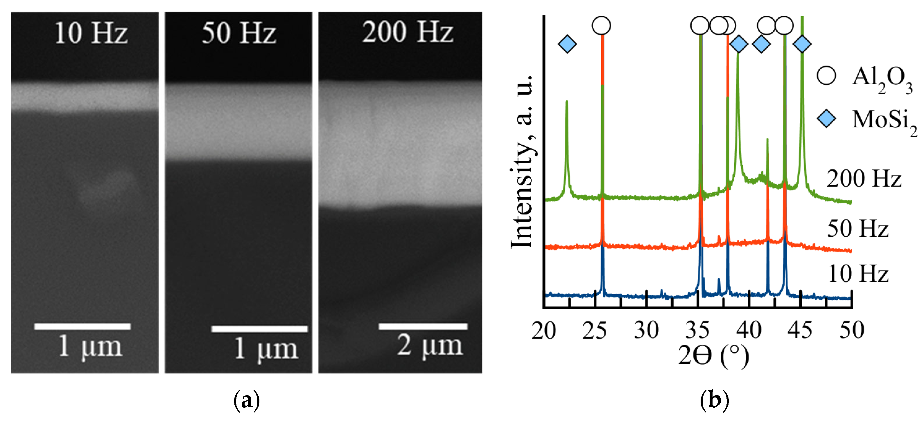 Coatings 12 01570 g001