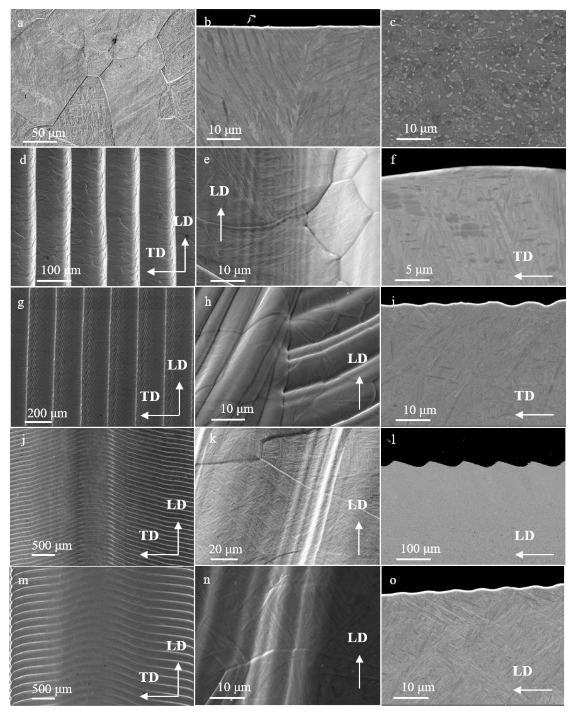 Coatings 12 01573 g005