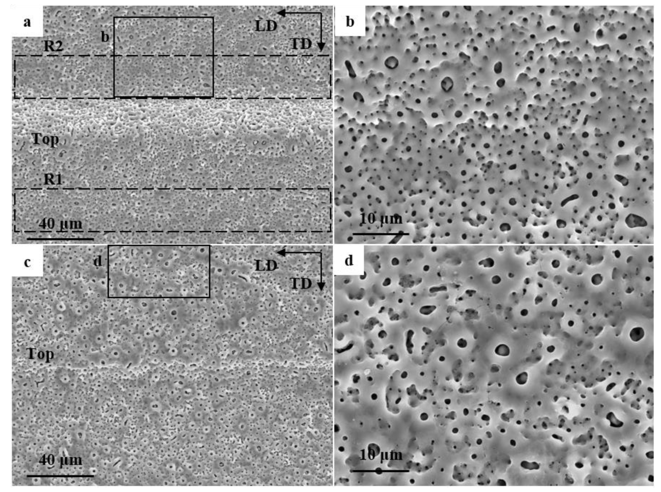 Coatings 12 01573 g009