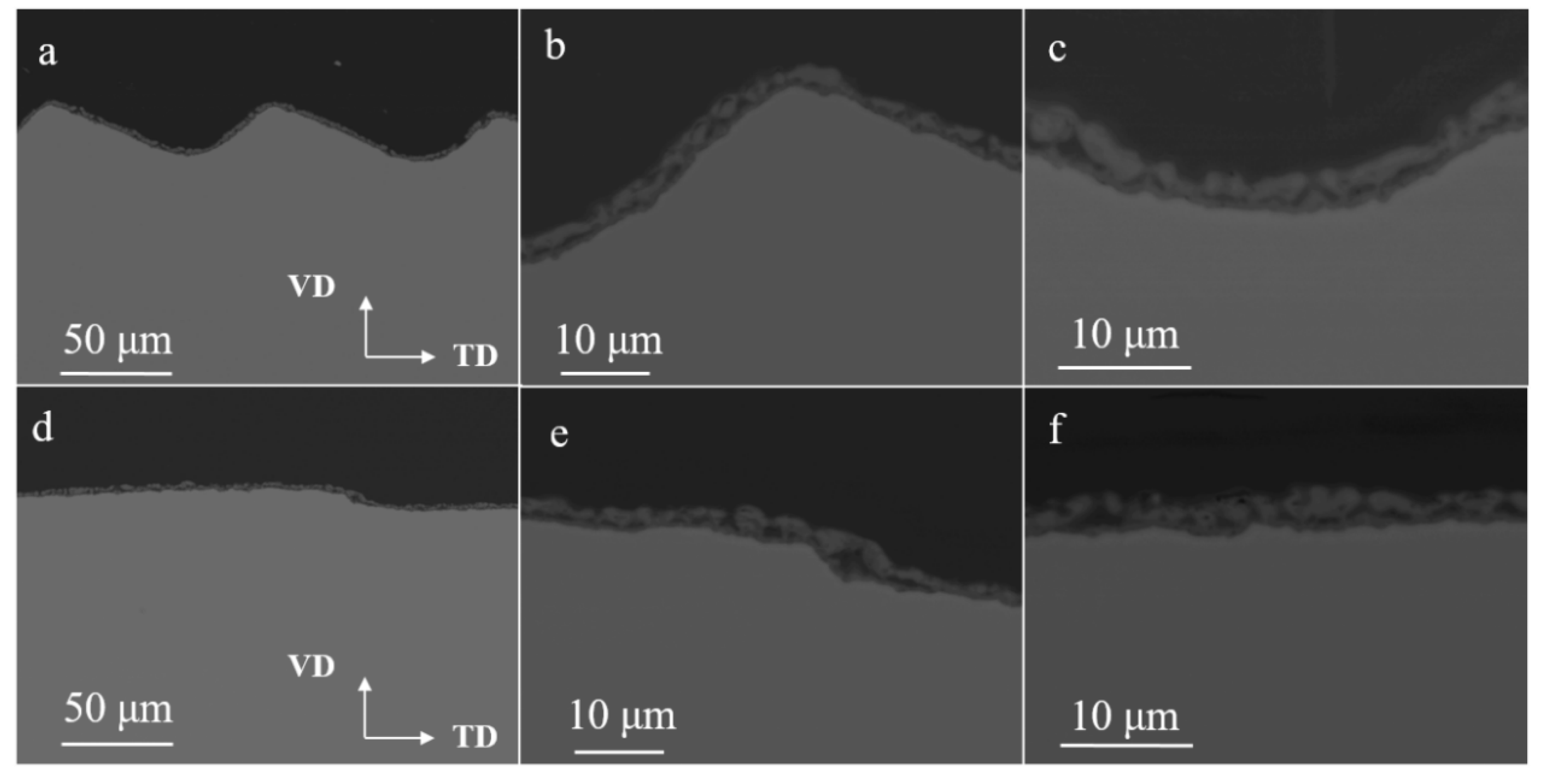 Coatings 12 01573 g010