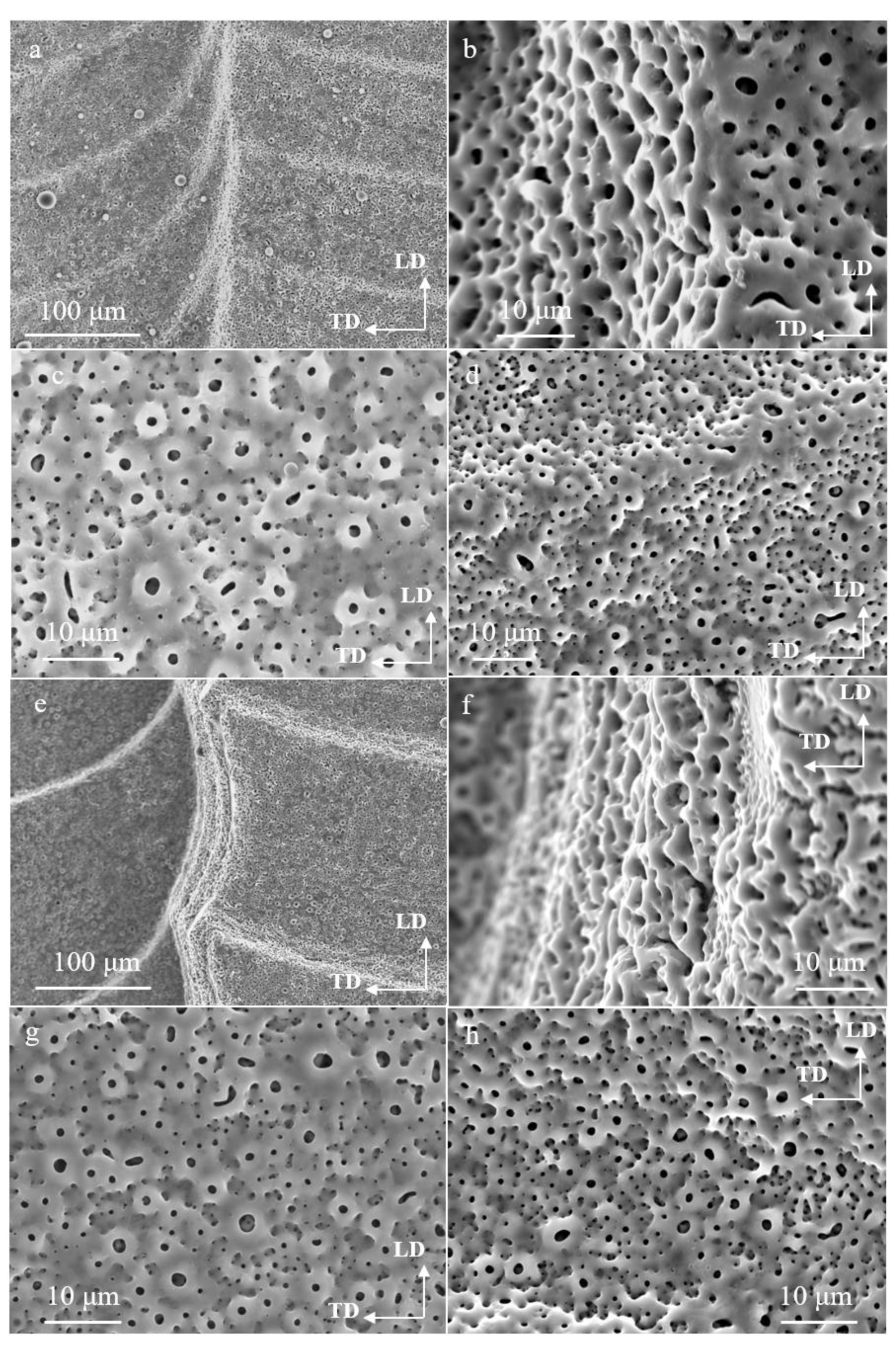 Coatings 12 01573 g011