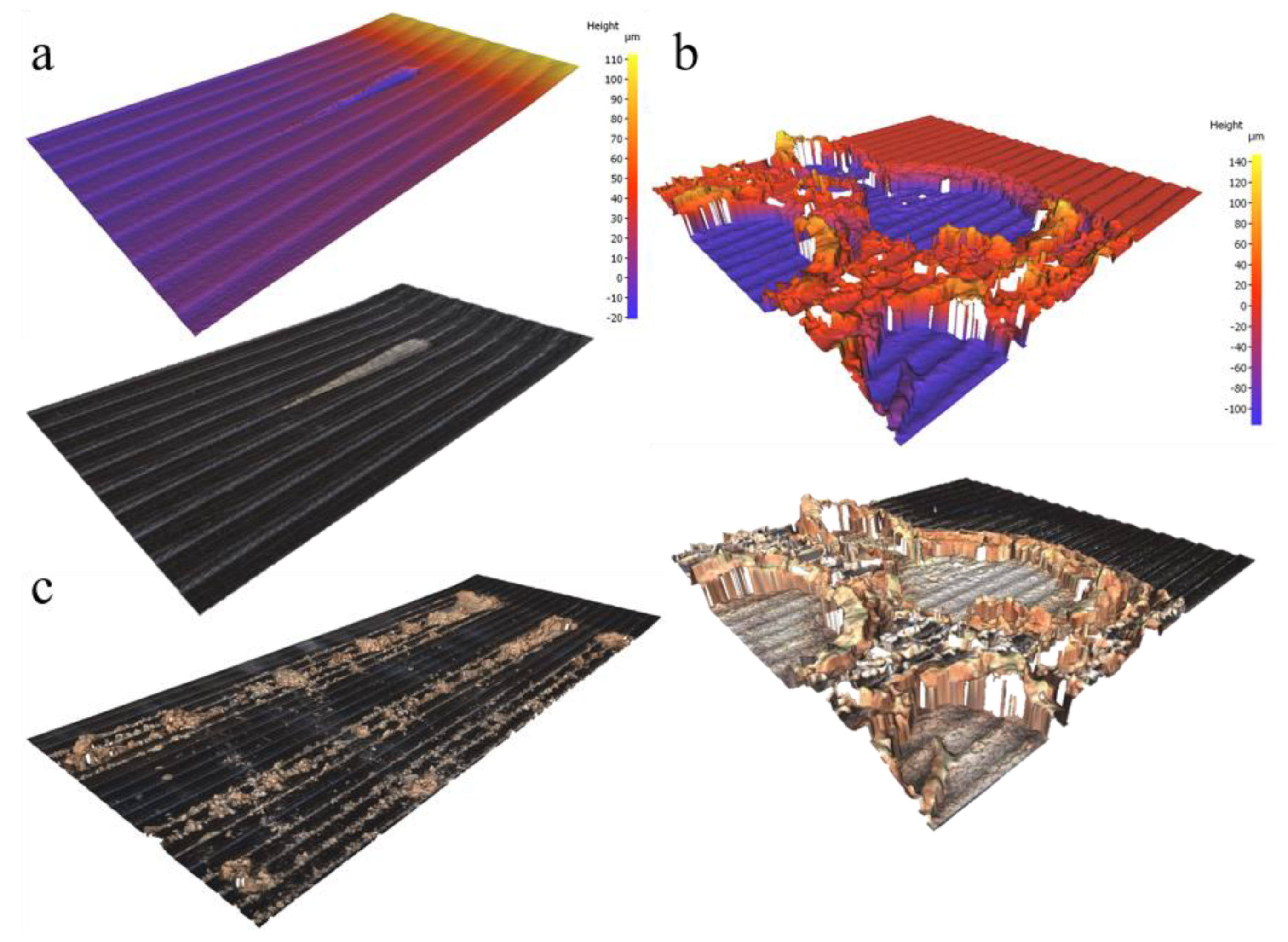 Coatings 12 01573 g015