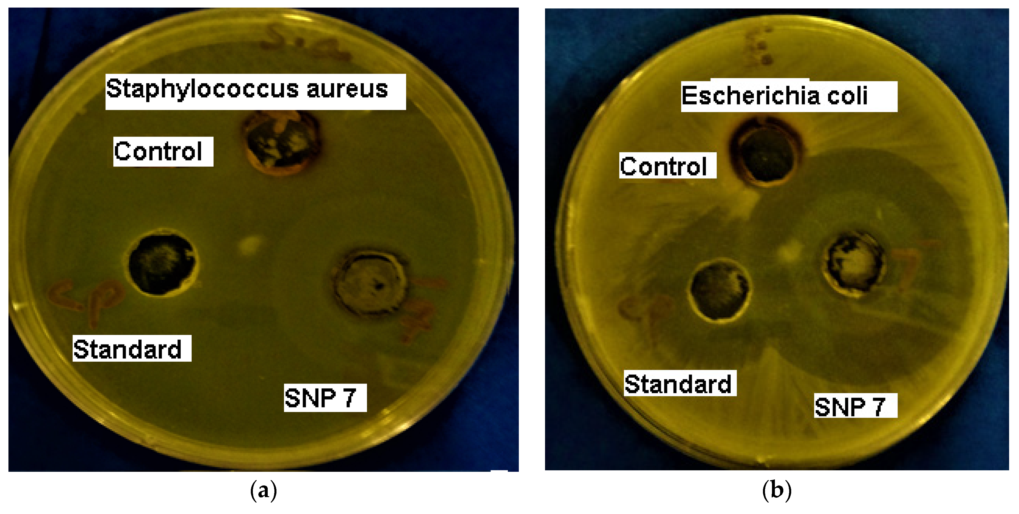 Coatings 12 01579 g014