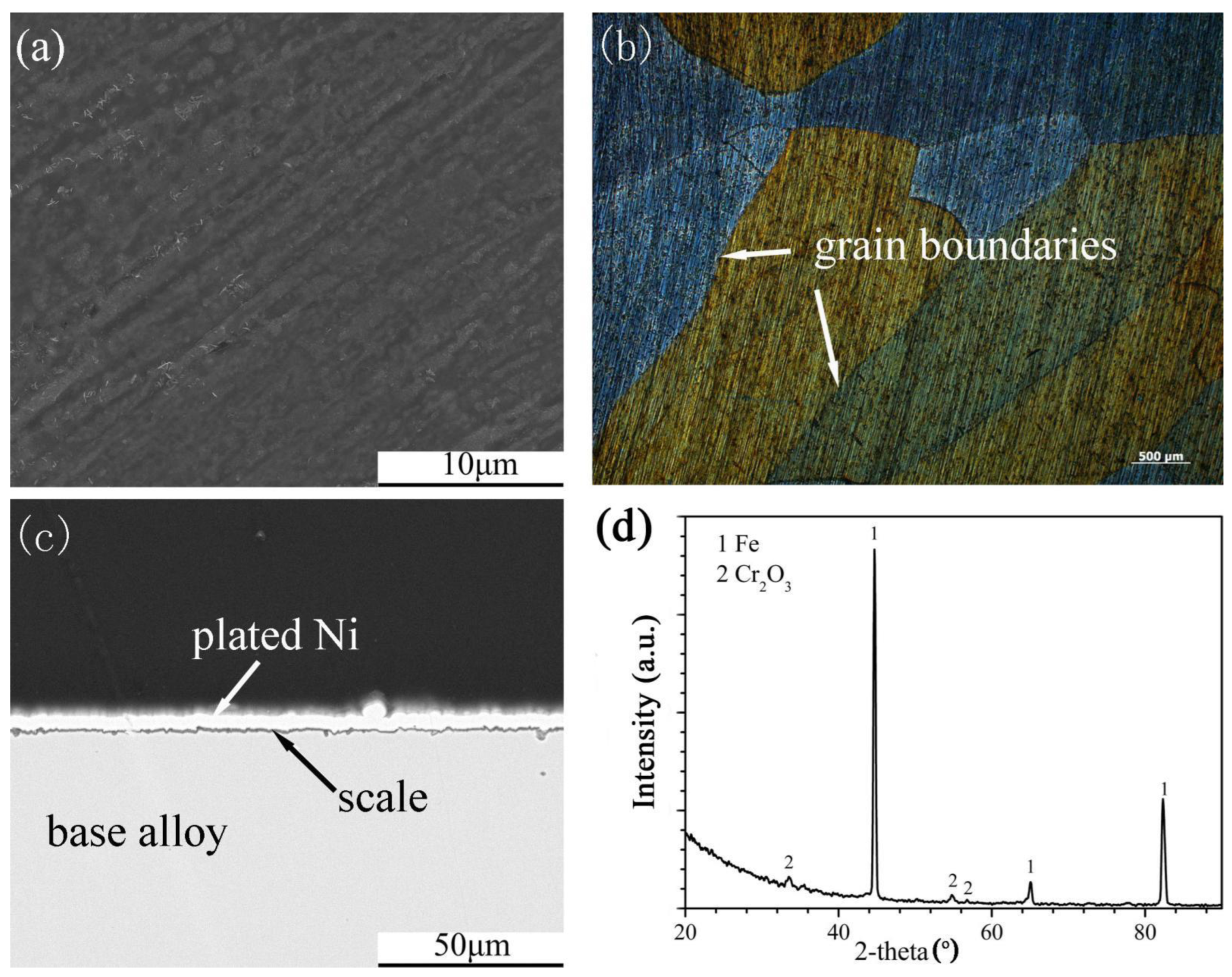 Coatings 12 01588 g005