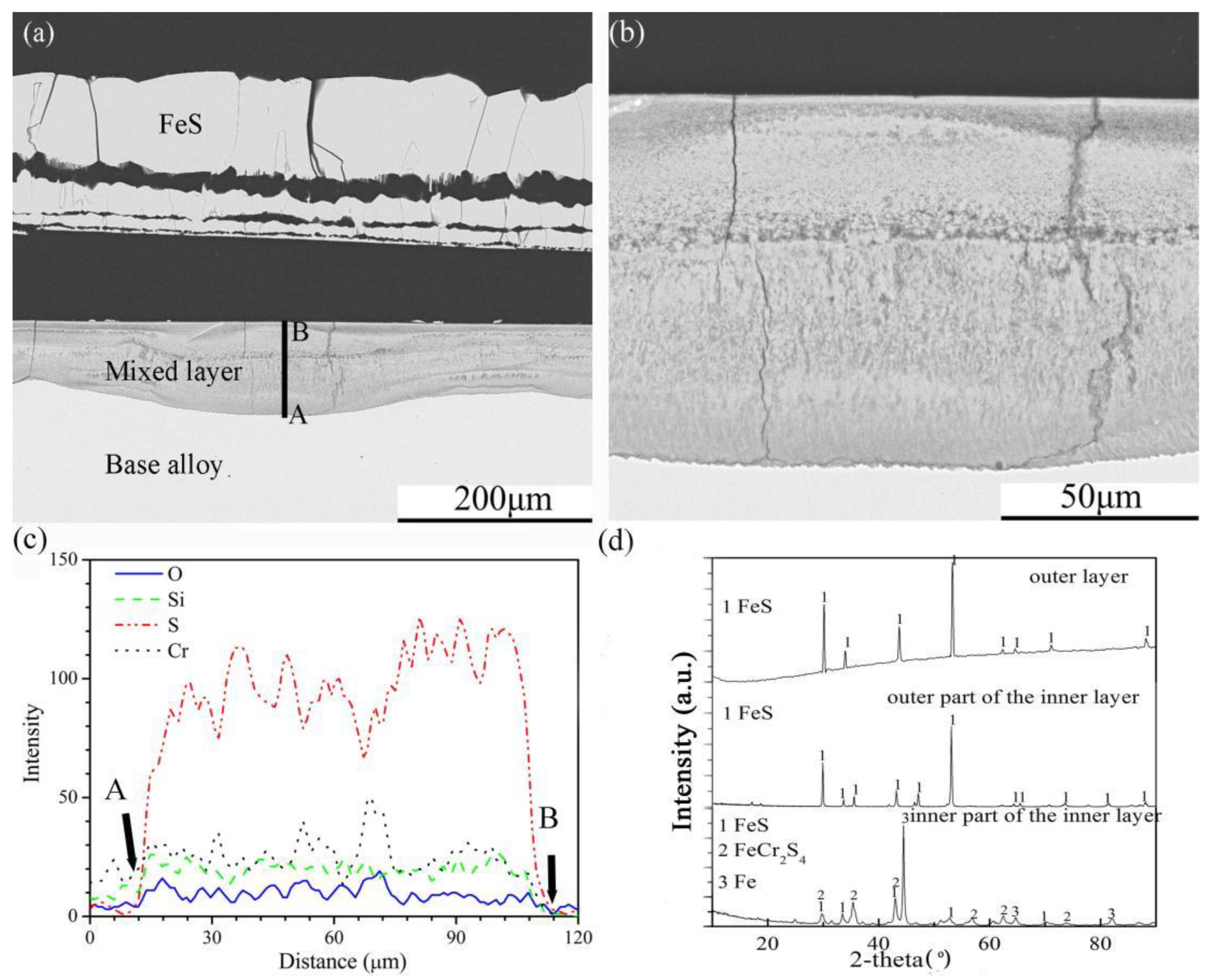 Coatings 12 01588 g006