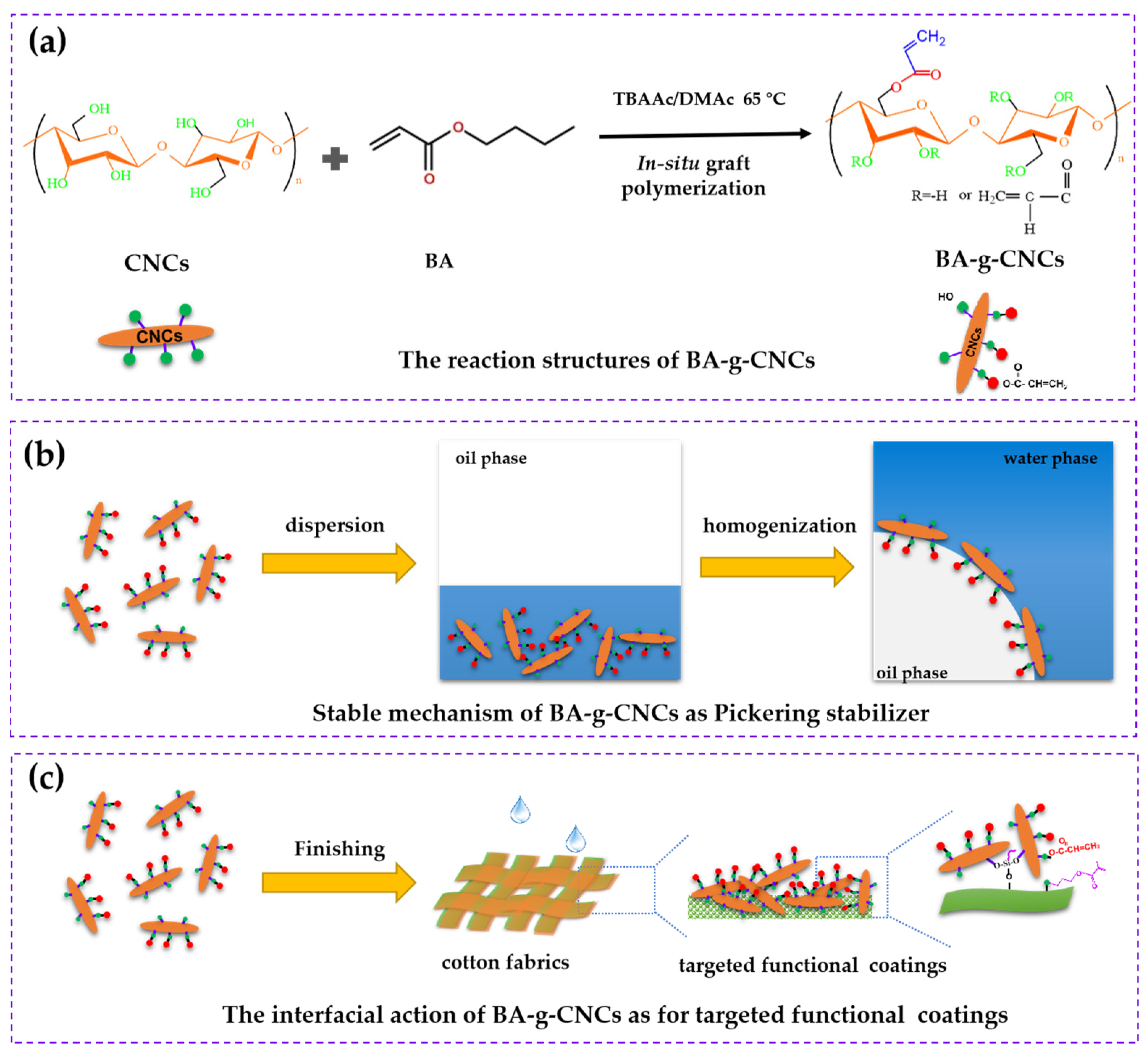 Coatings 12 01594 g001