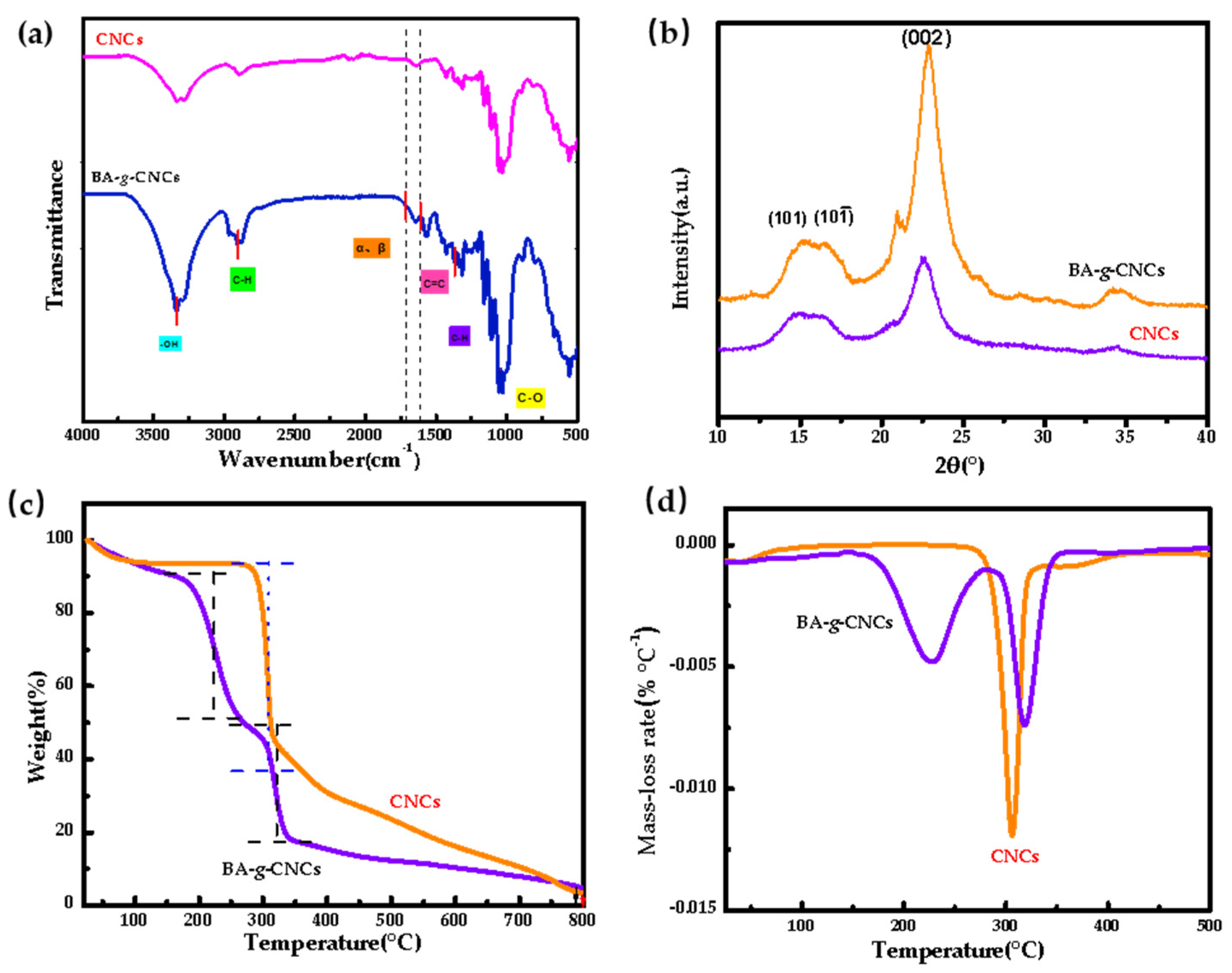 Coatings 12 01594 g002