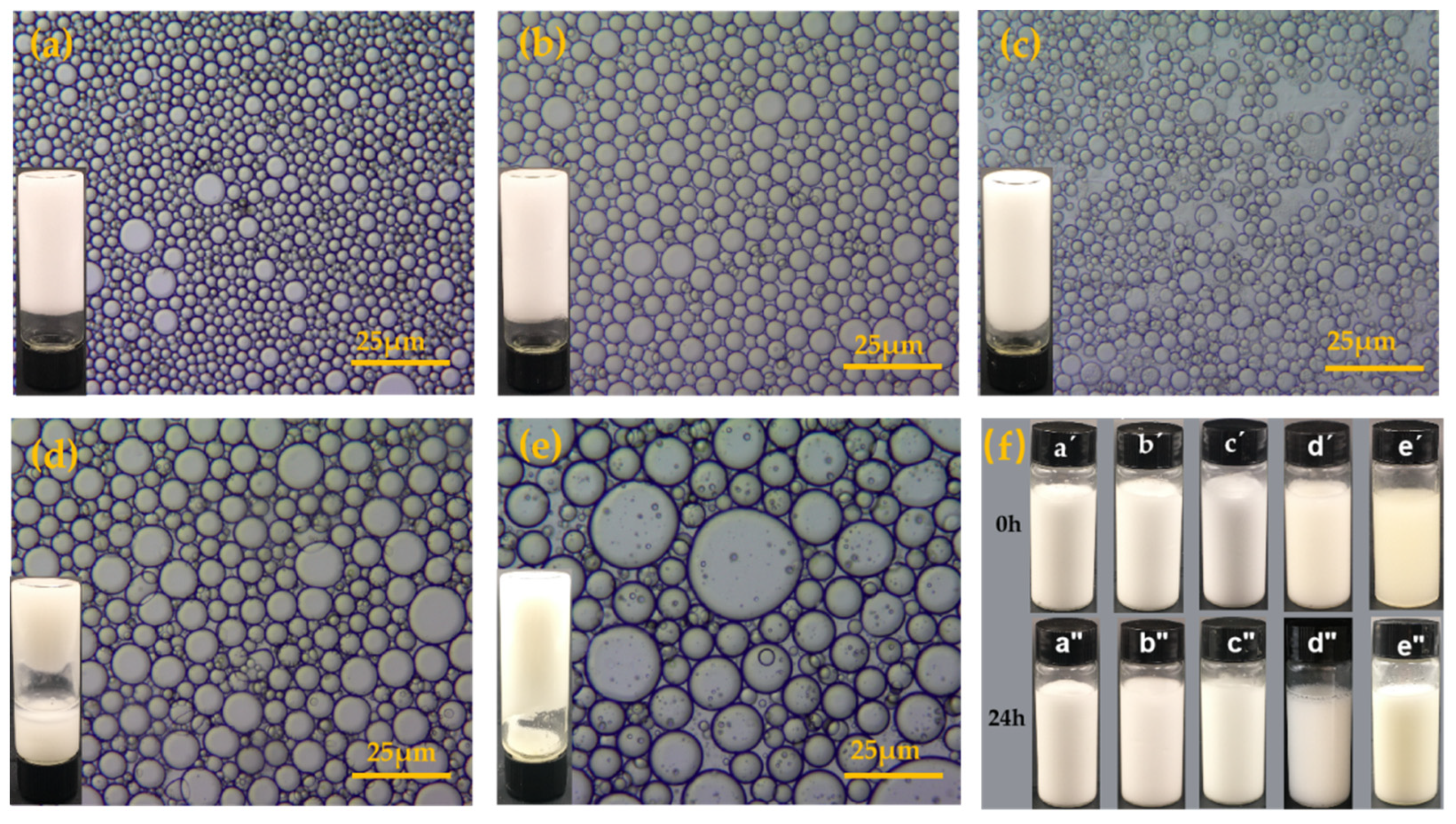 Coatings 12 01594 g005