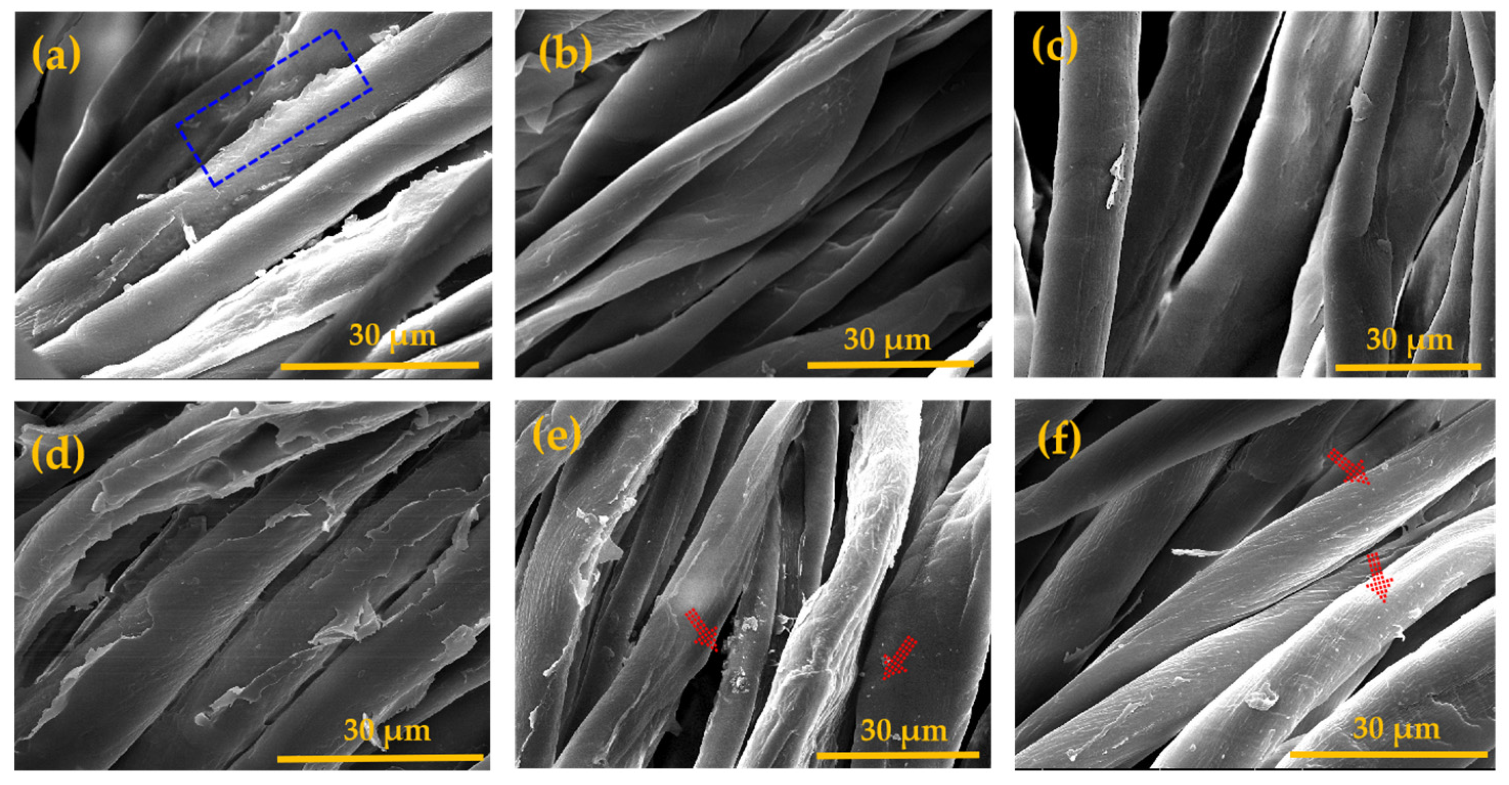 Coatings 12 01594 g006