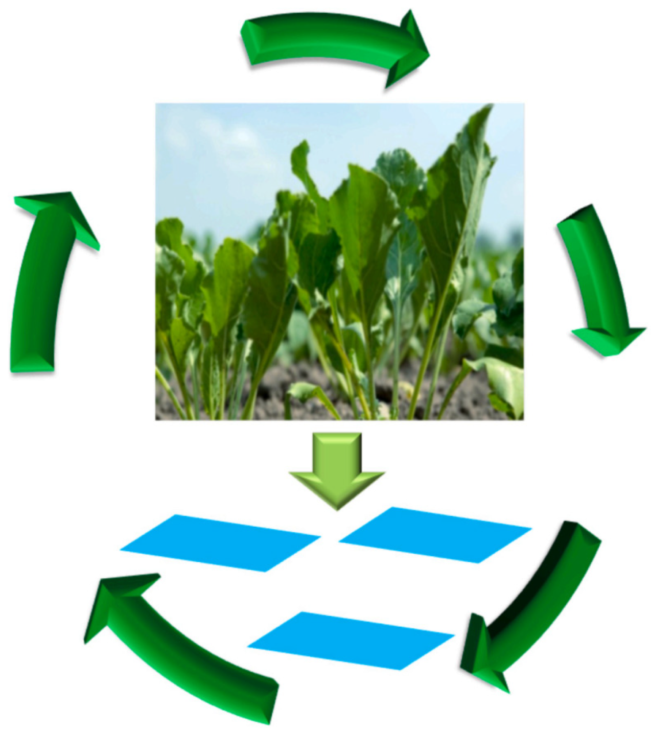 Coatings 12 01597 g002