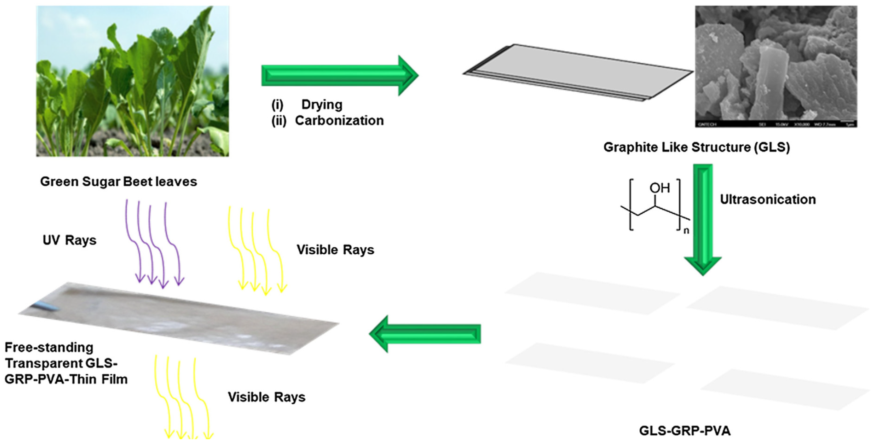 Coatings 12 01597 g003
