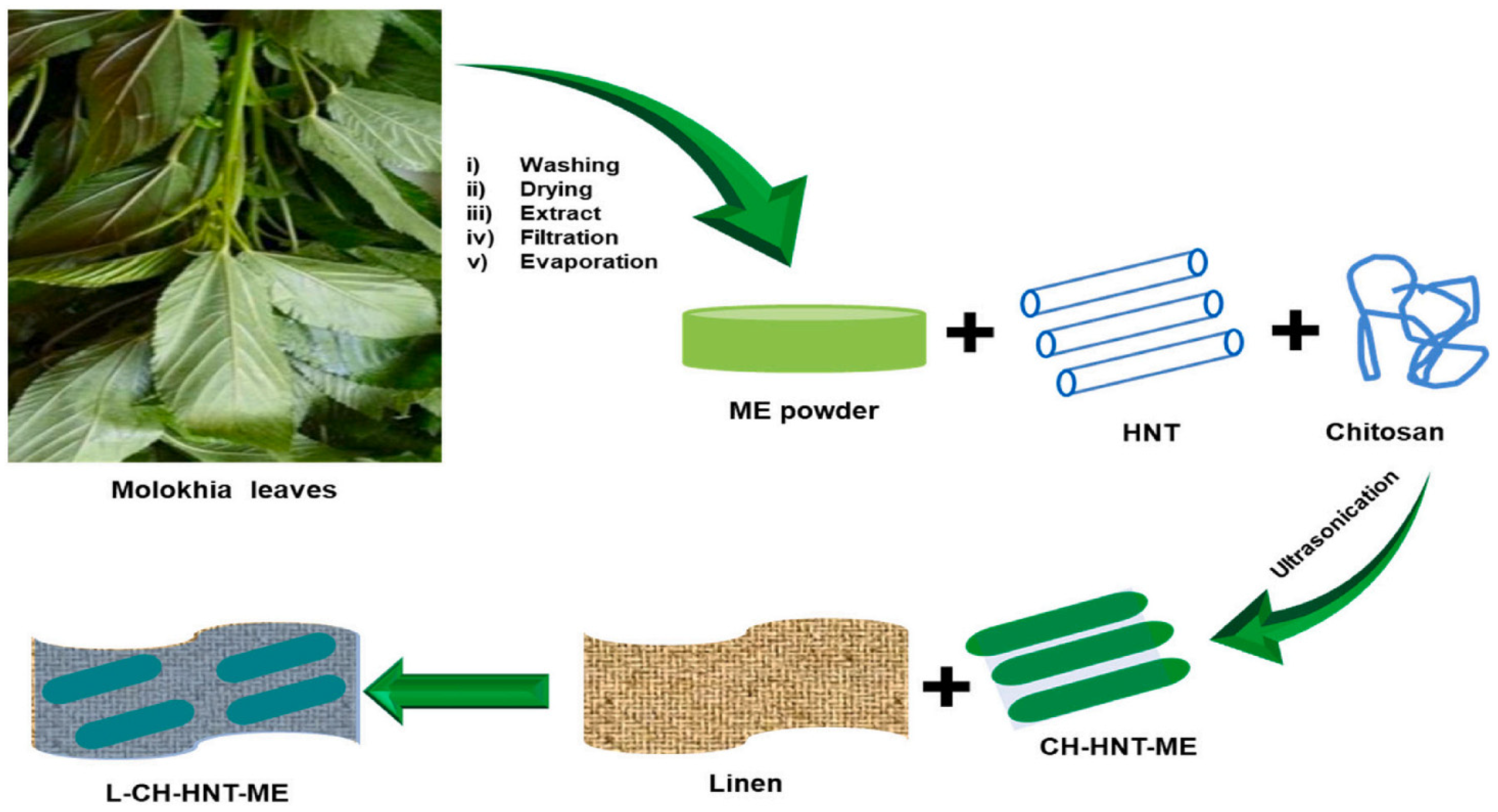 Coatings 12 01597 g007