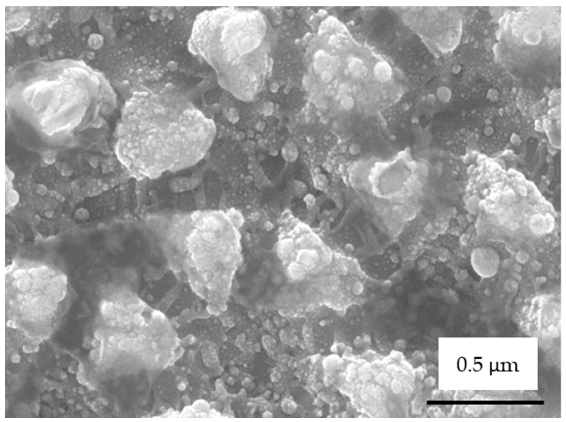 Coatings 12 01602 g007 Coatings 12 01602 g007