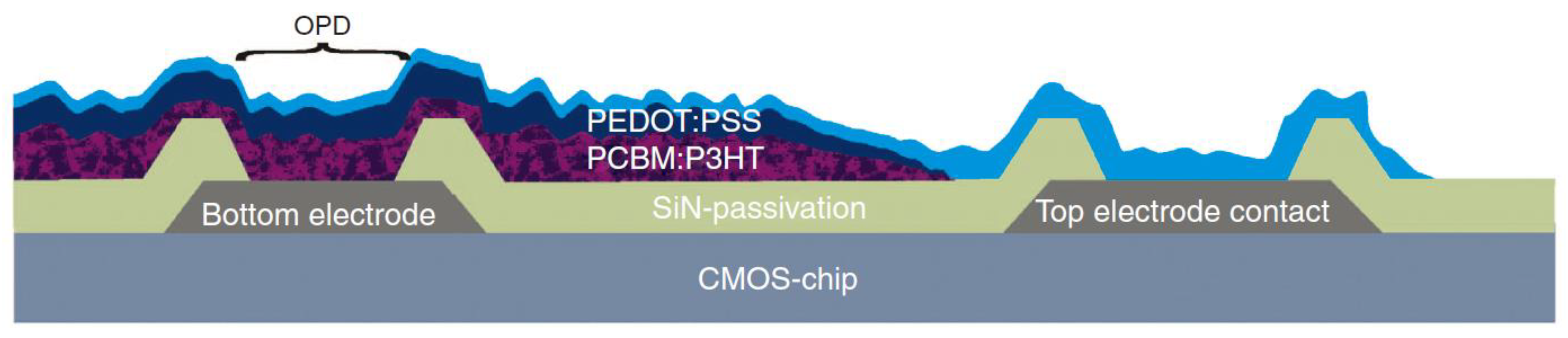Coatings 12 01609 g003