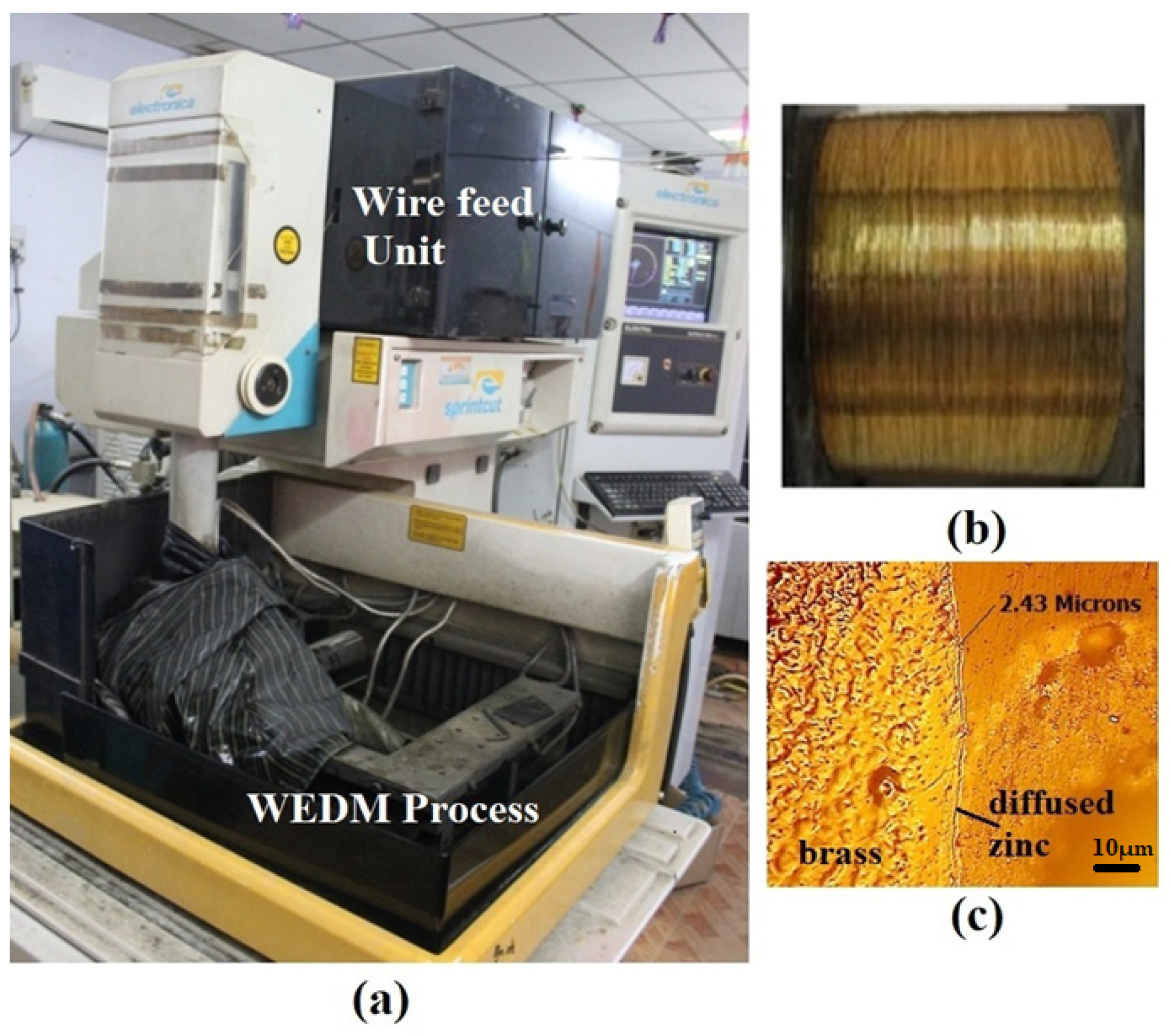 Coatings 12 01612 g001