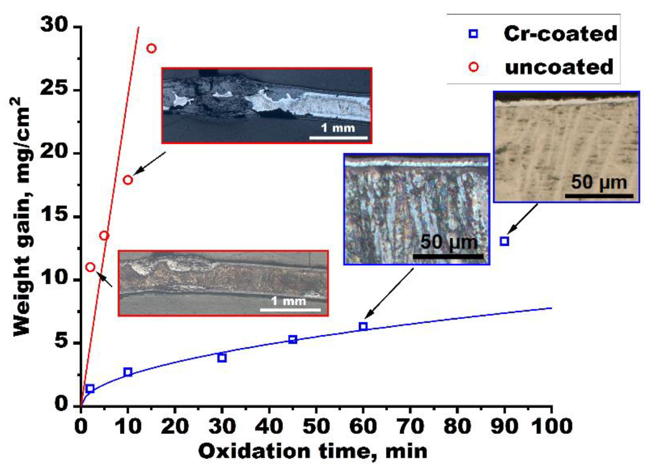 Coatings 12 01623 g001
