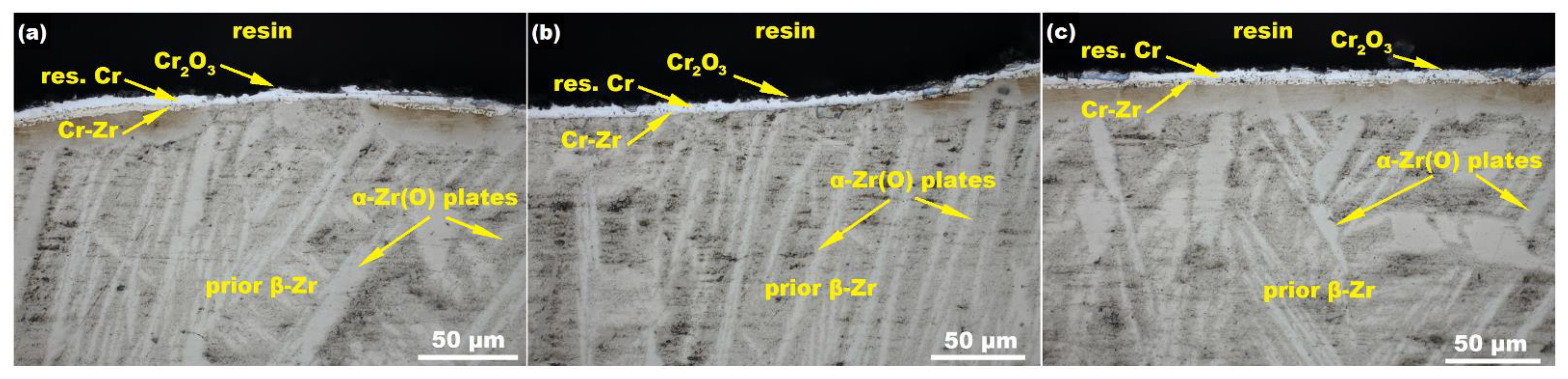 Coatings 12 01623 g002