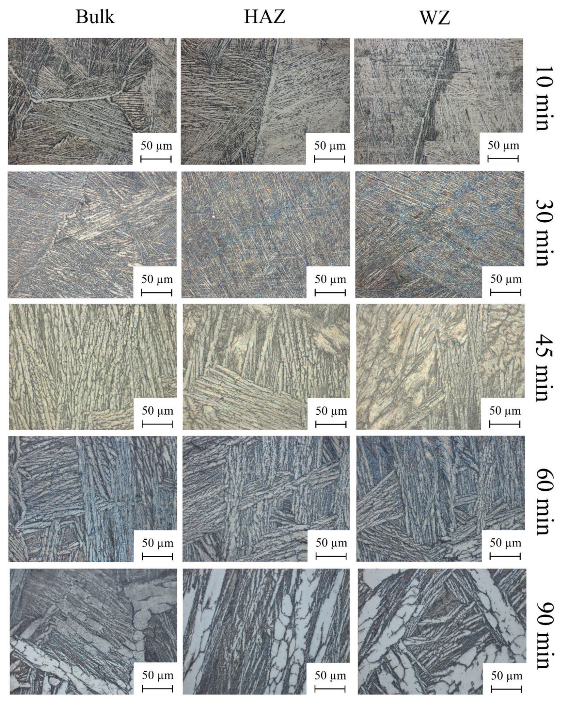 Coatings 12 01623 g003