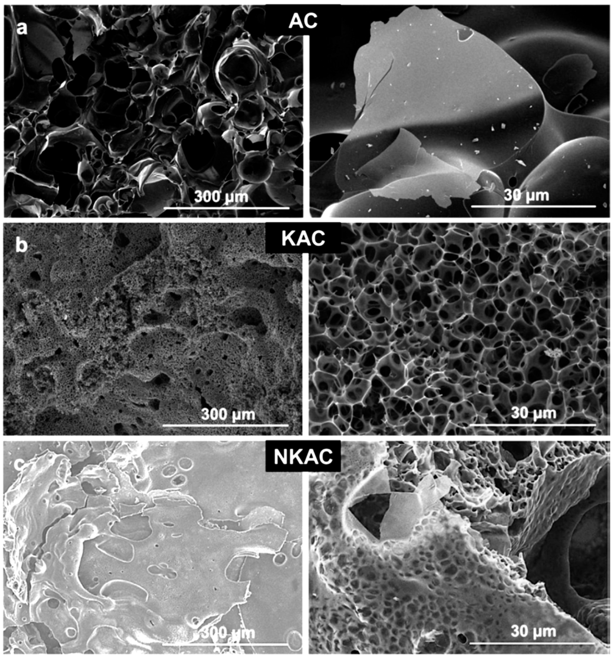 Coatings 12 01625 g004 Coatings 12 01625 g004