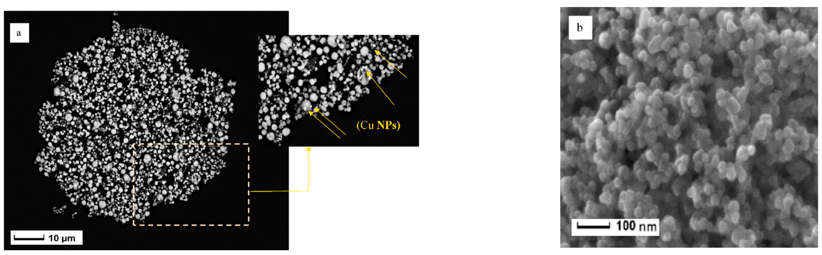 Coatings 12 01625 g011 Coatings 12 01625 g011