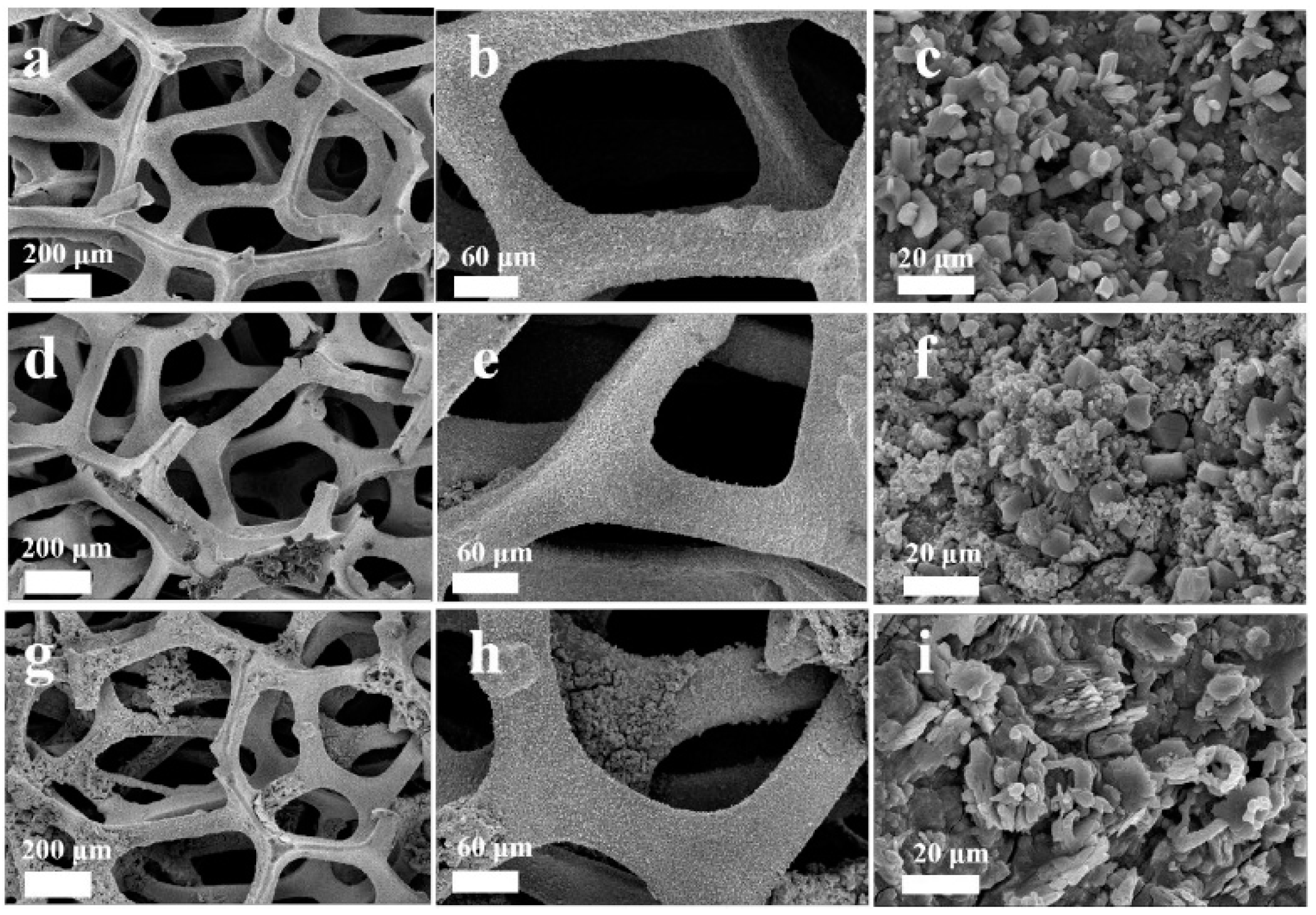 Coatings 12 01625 g014 Coatings 12 01625 g014