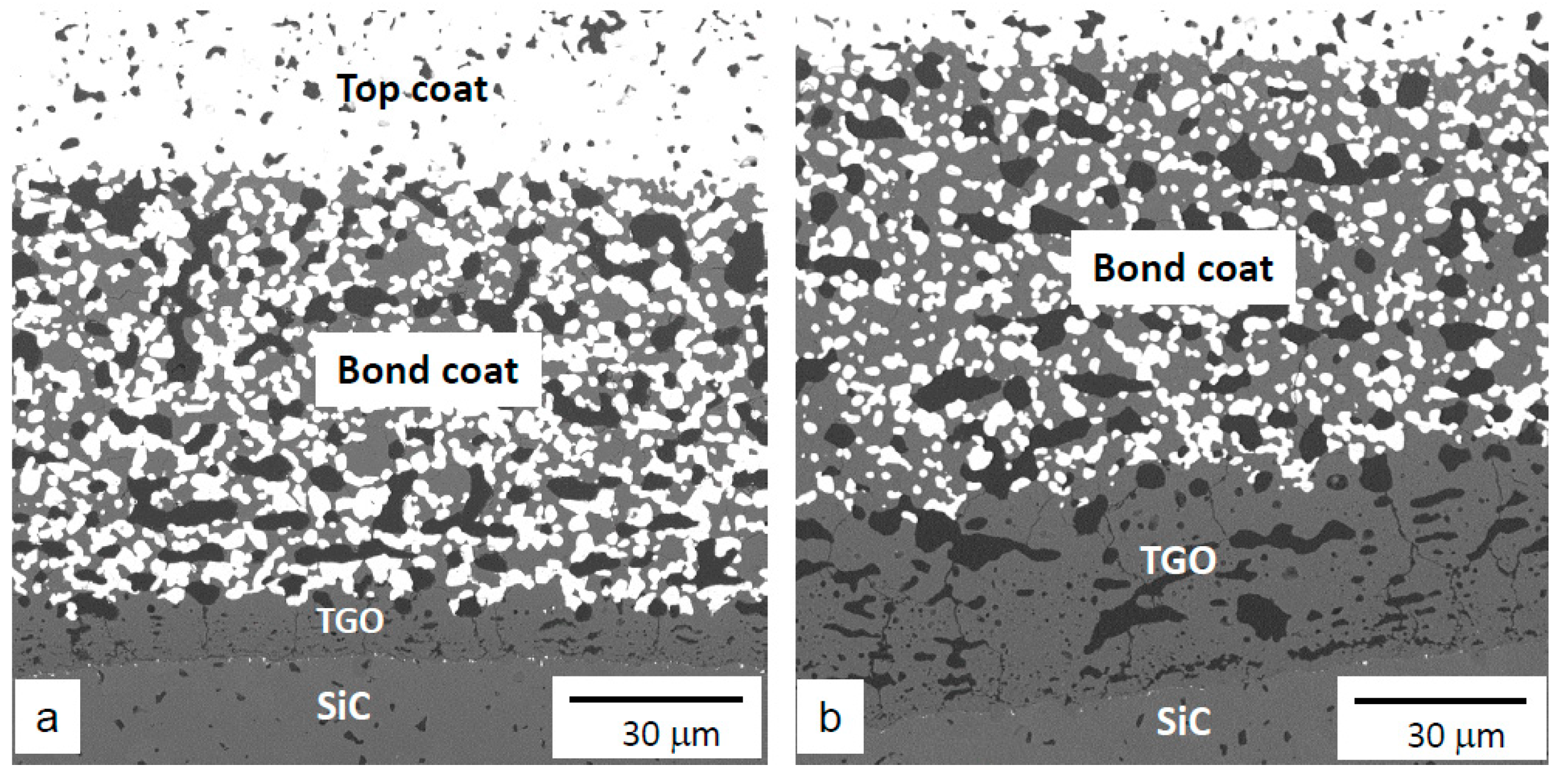 Coatings 12 01635 g006 Coatings 12 01635 g006