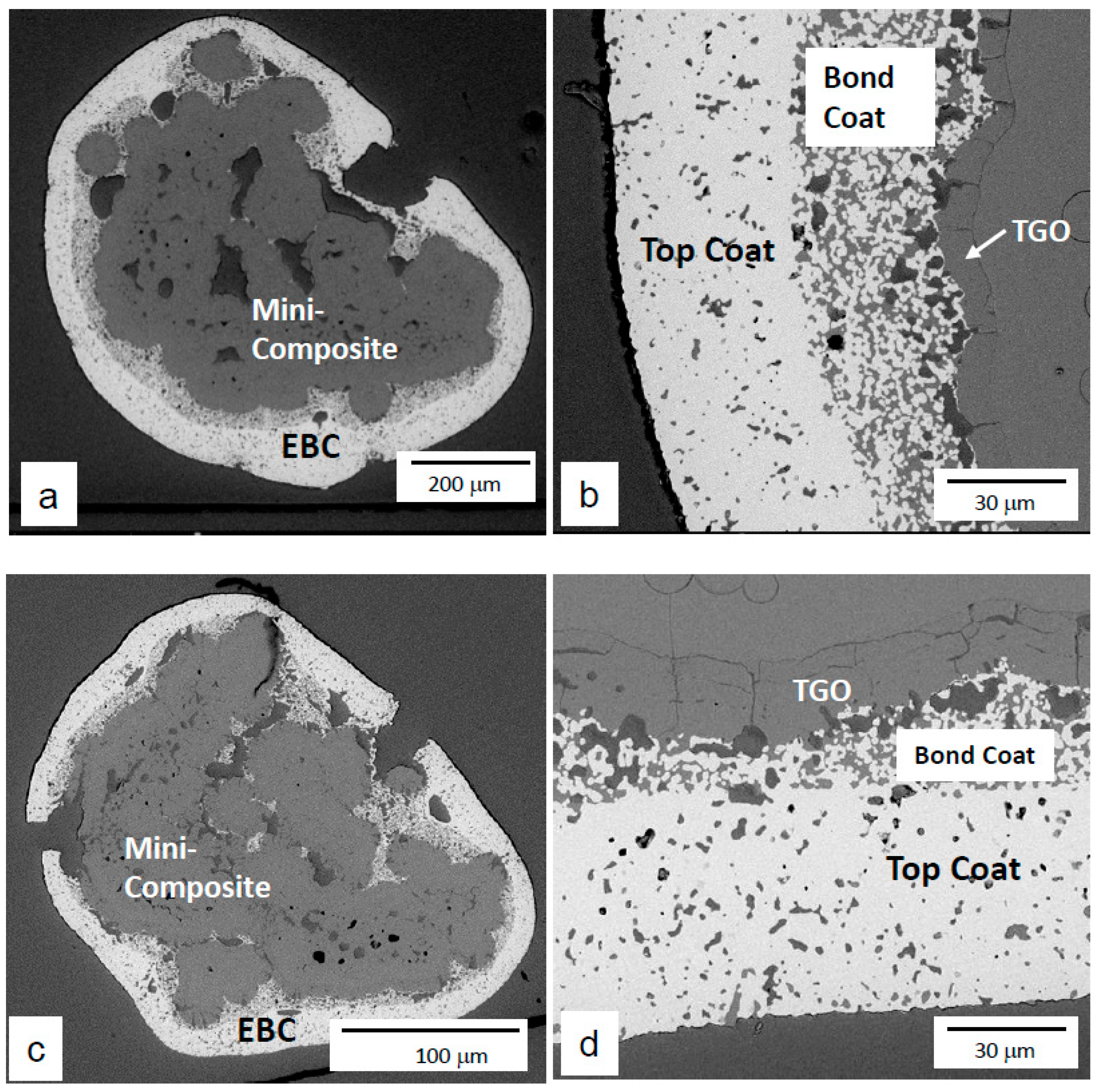 Coatings 12 01635 g007 Coatings 12 01635 g007